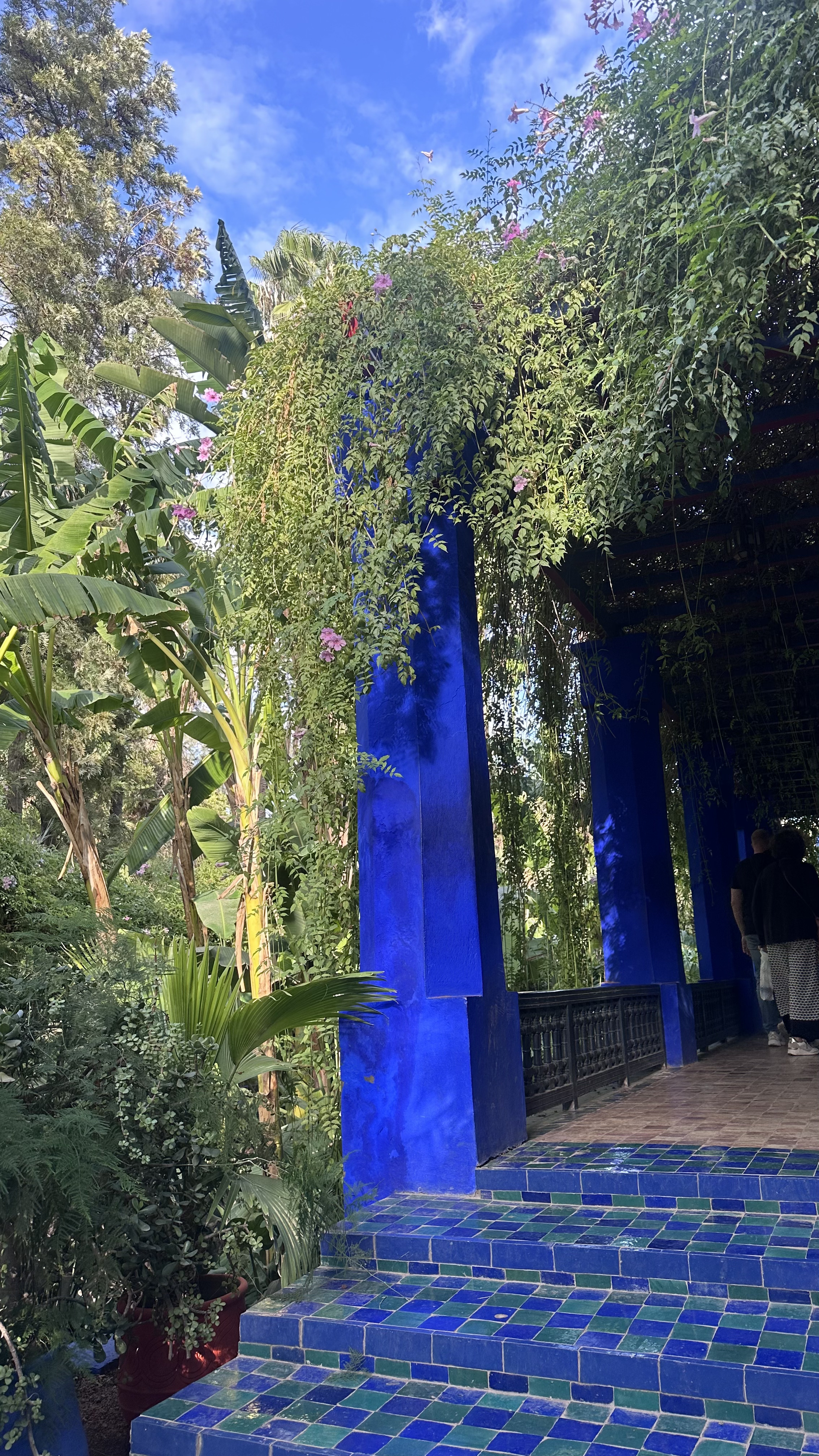 Увидеть Весь Марокко За 10 Дней (35/109)