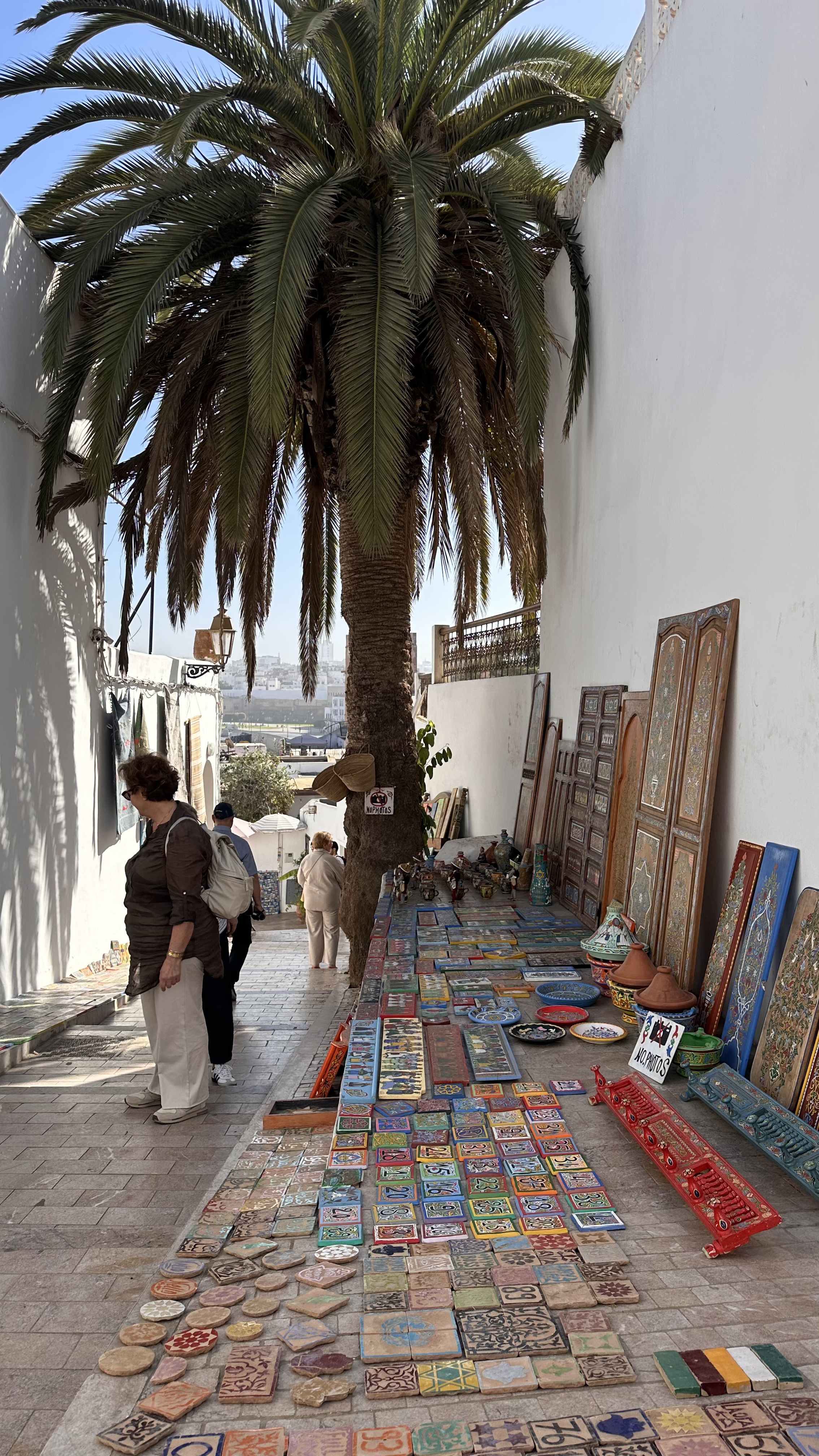 Увидеть Весь Марокко За 10 Дней (59/109)