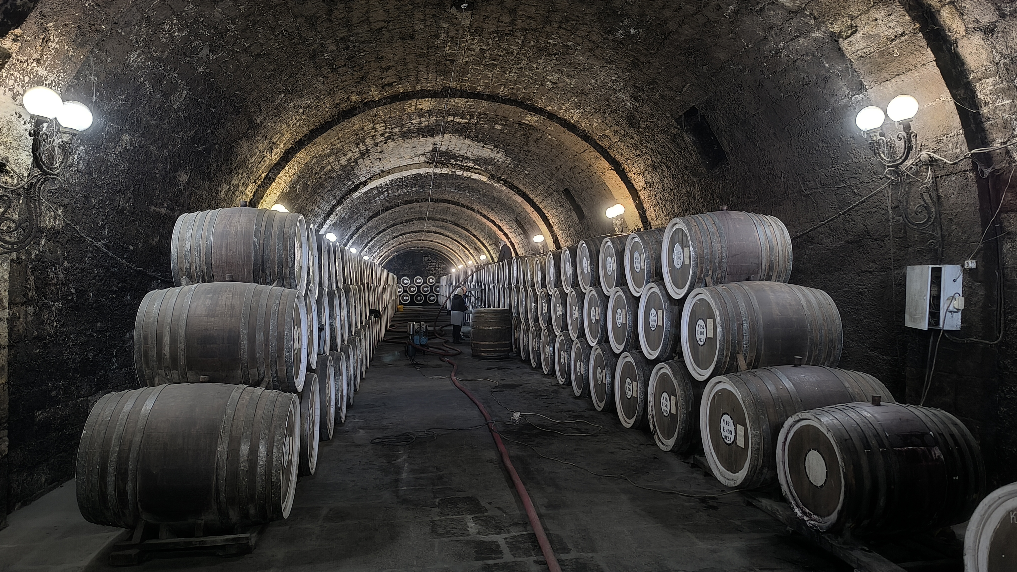 Знакомство с виноделием Дербента, экскурсия из Махачкалы. (10/15)