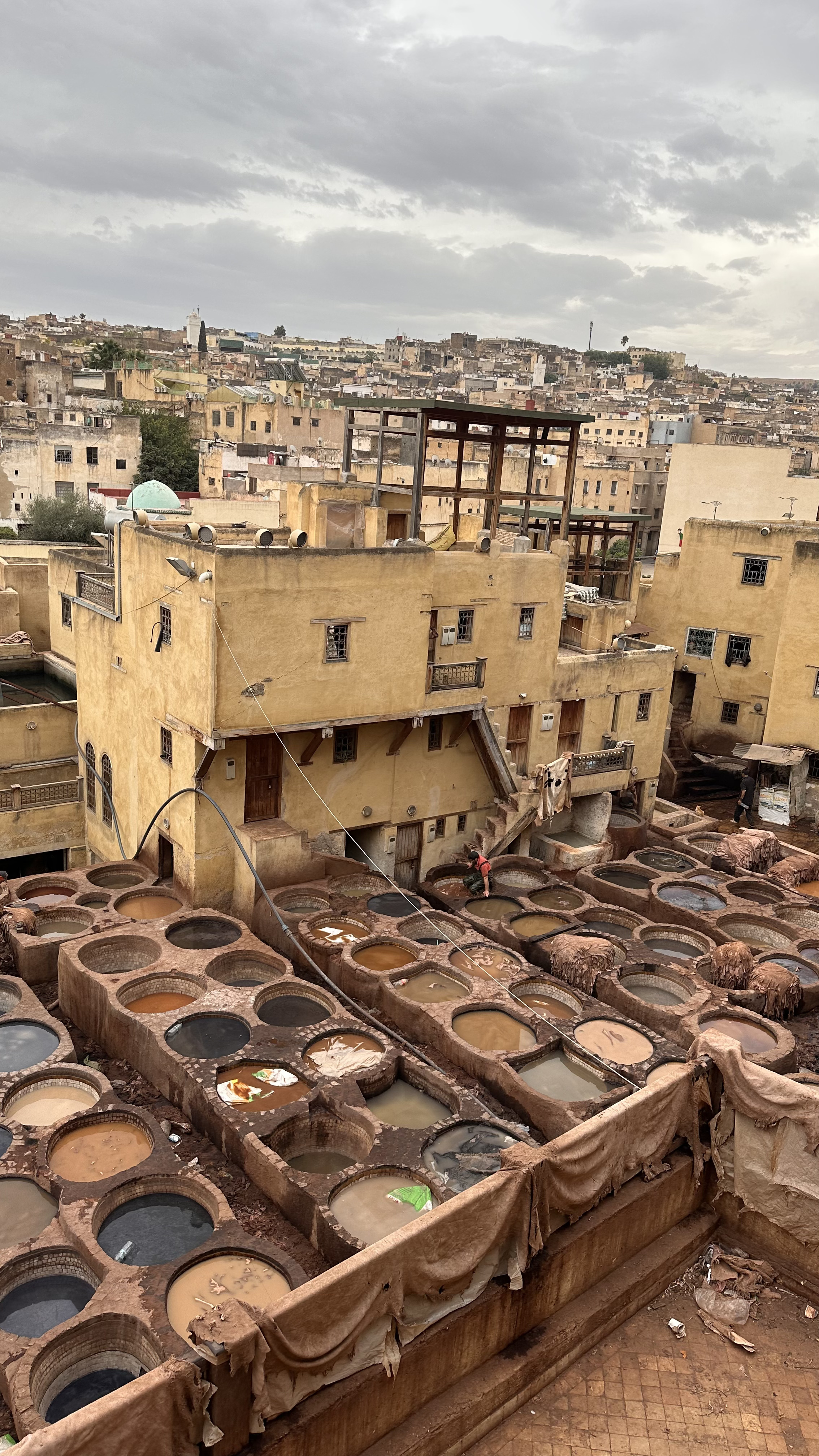 Увидеть Весь Марокко За 10 Дней (78/109)