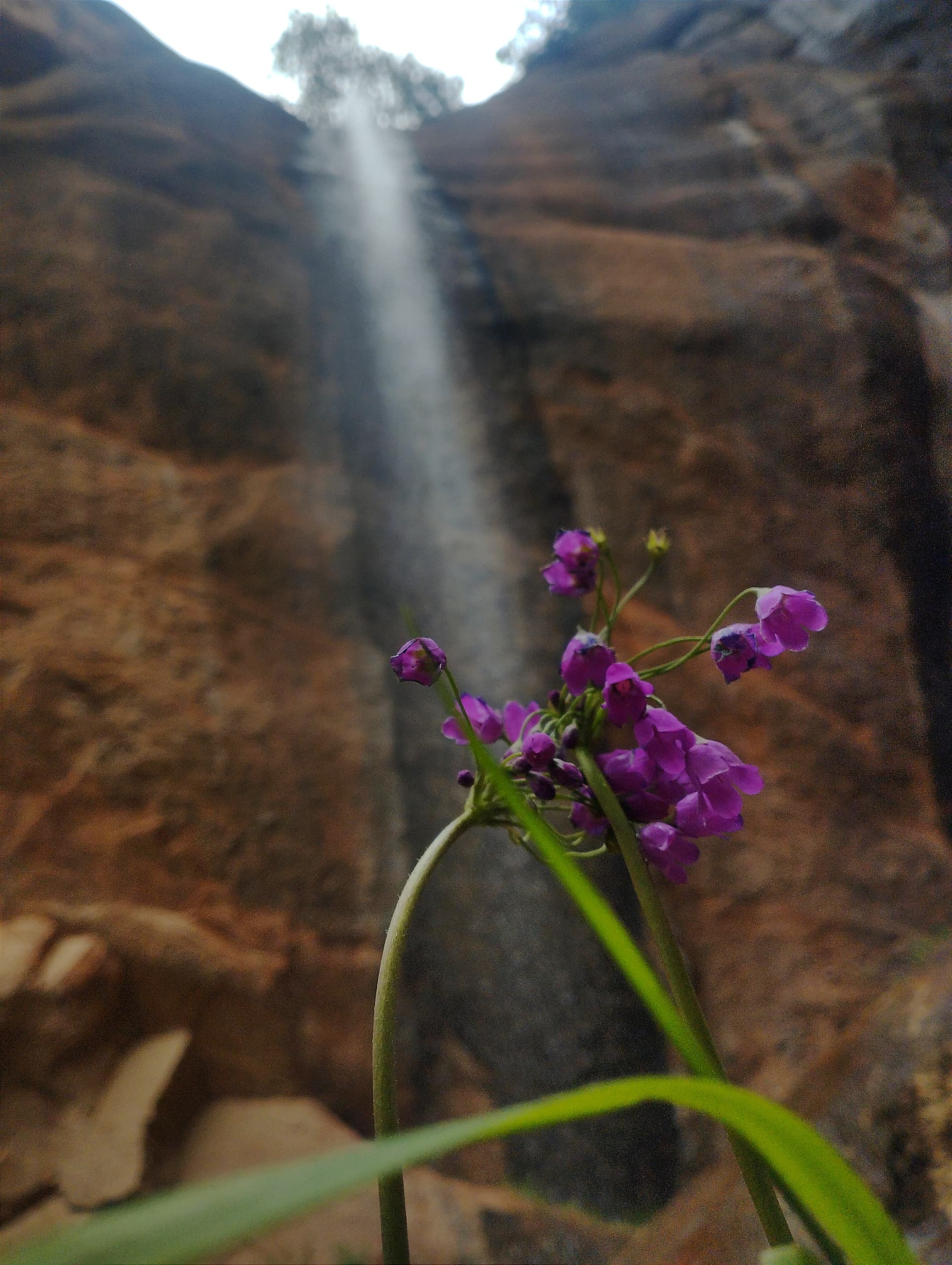 Кыргызстан за гранью открыток: юг, горные озёра и Иссык-Куль (12/32)