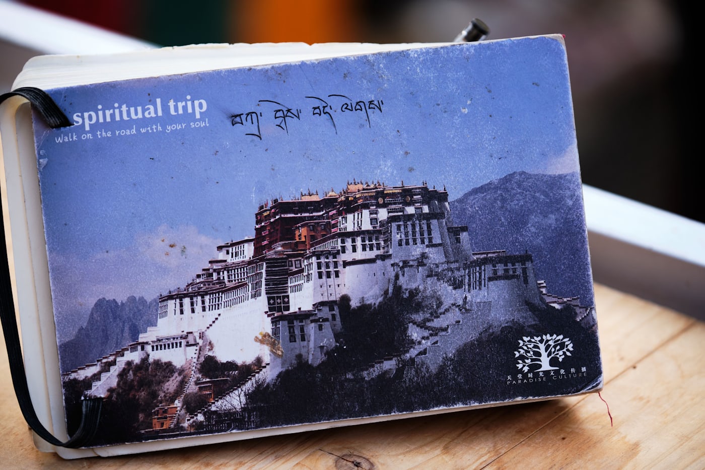 Путешествие к Эвересту: транстибетский экспресс к Крыше Мира (13/25)