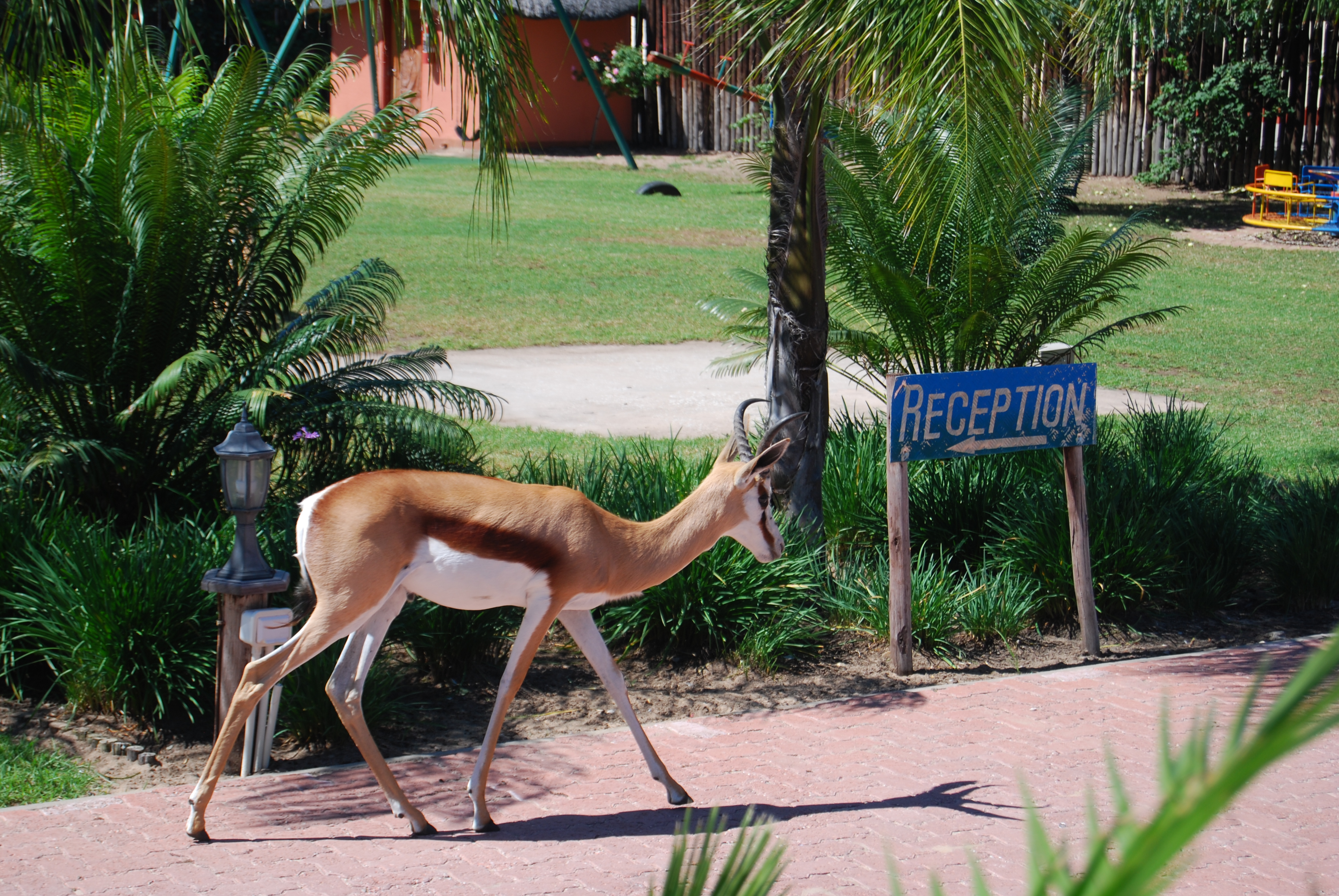 Авторская Экспедиция Вокруг Света За 30 Дней (15/36)
