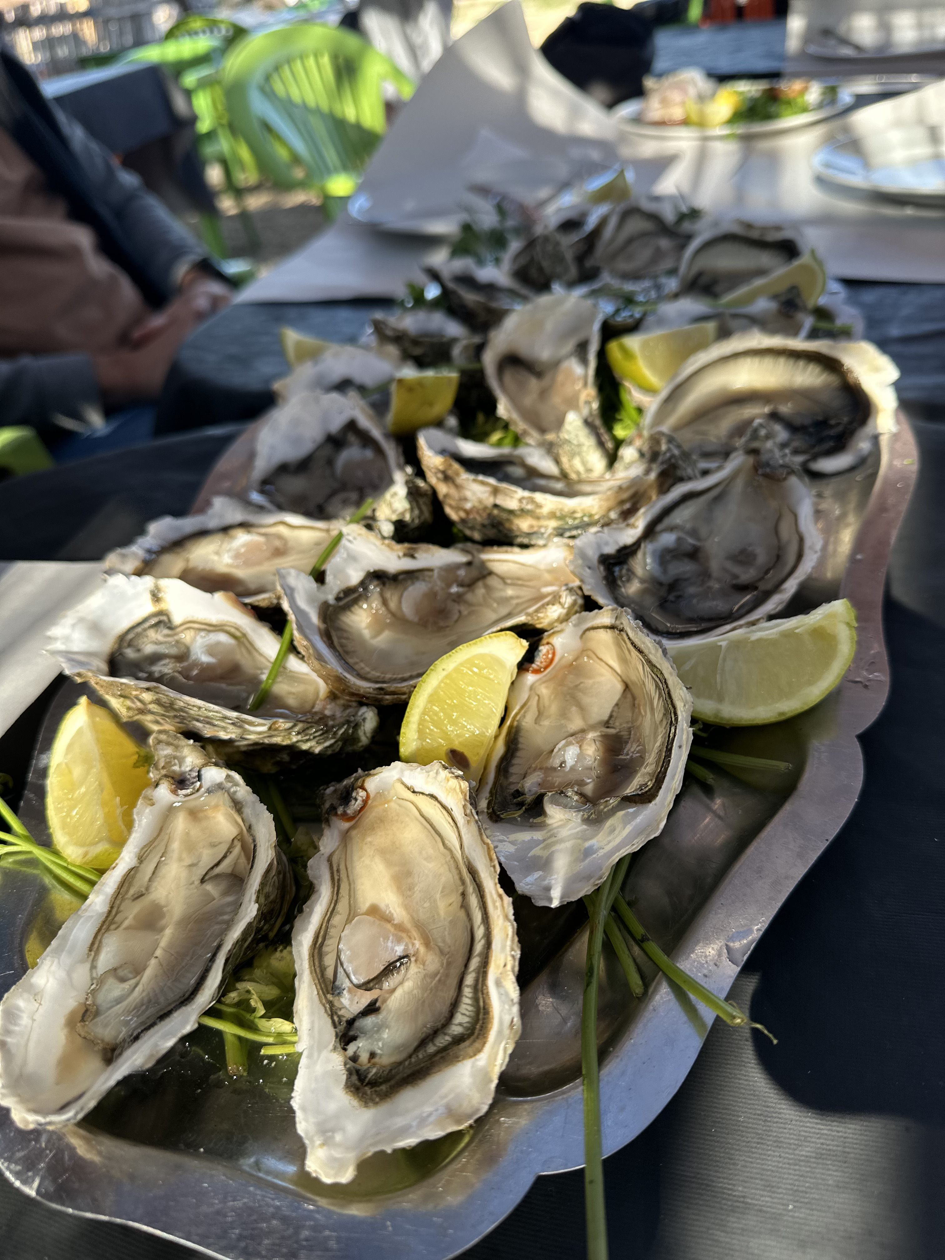 Увидеть Весь Марокко За 10 Дней (44/109)