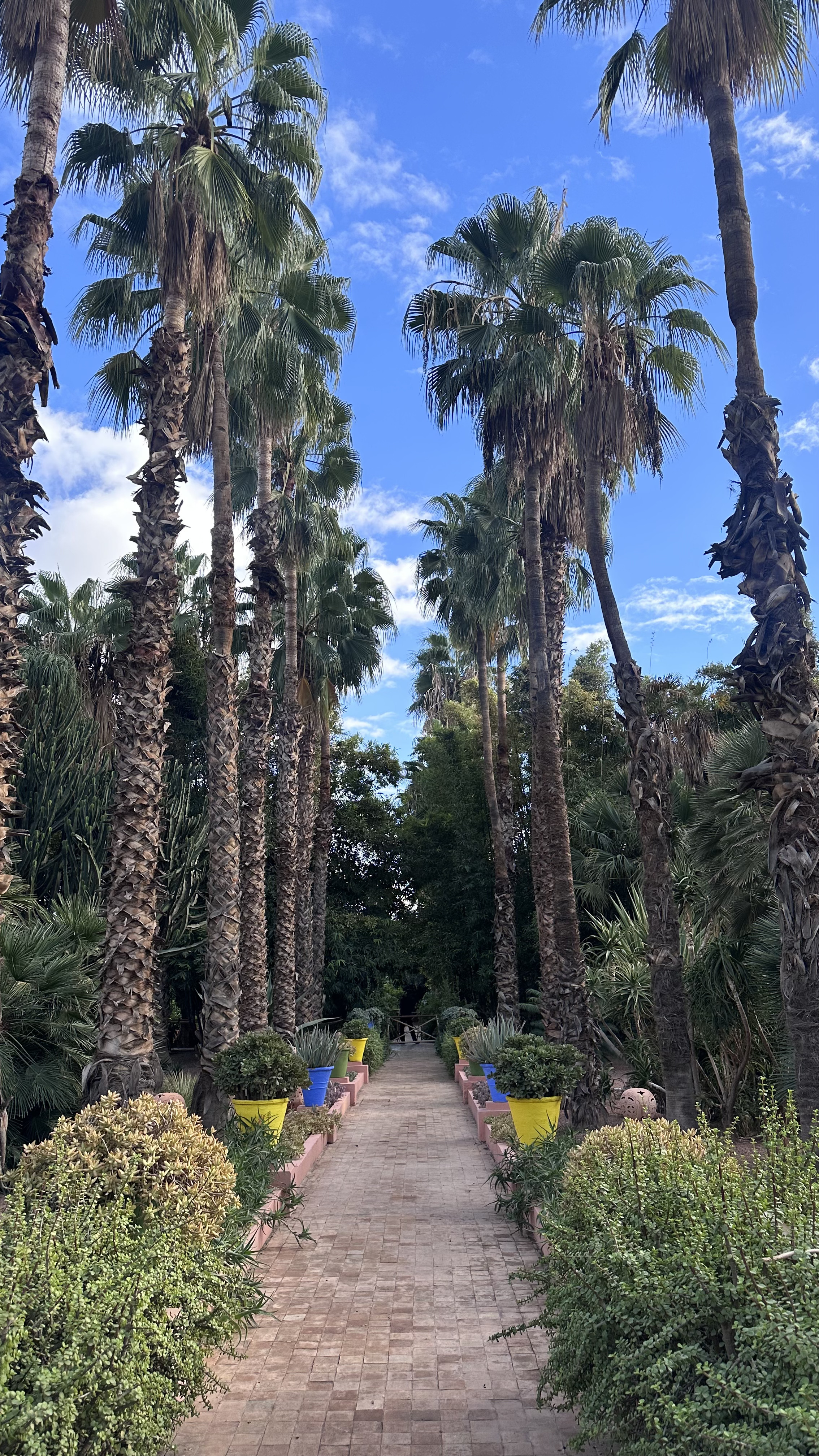 Увидеть Весь Марокко За 10 Дней (102/109)