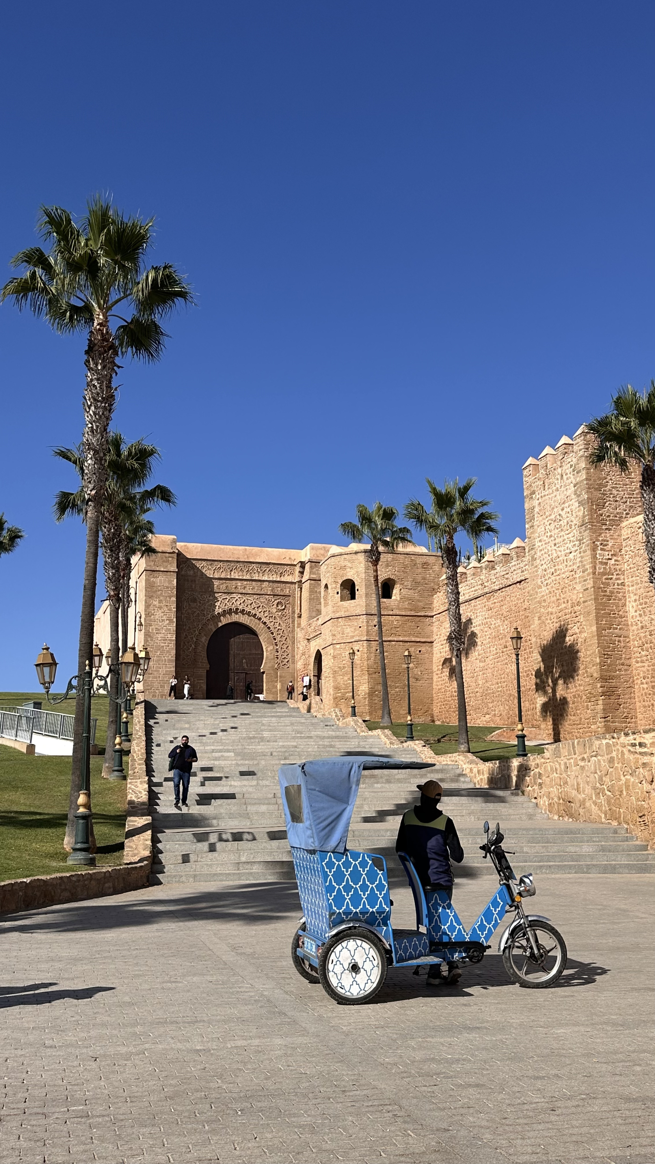 Увидеть Весь Марокко За 10 Дней (62/109)