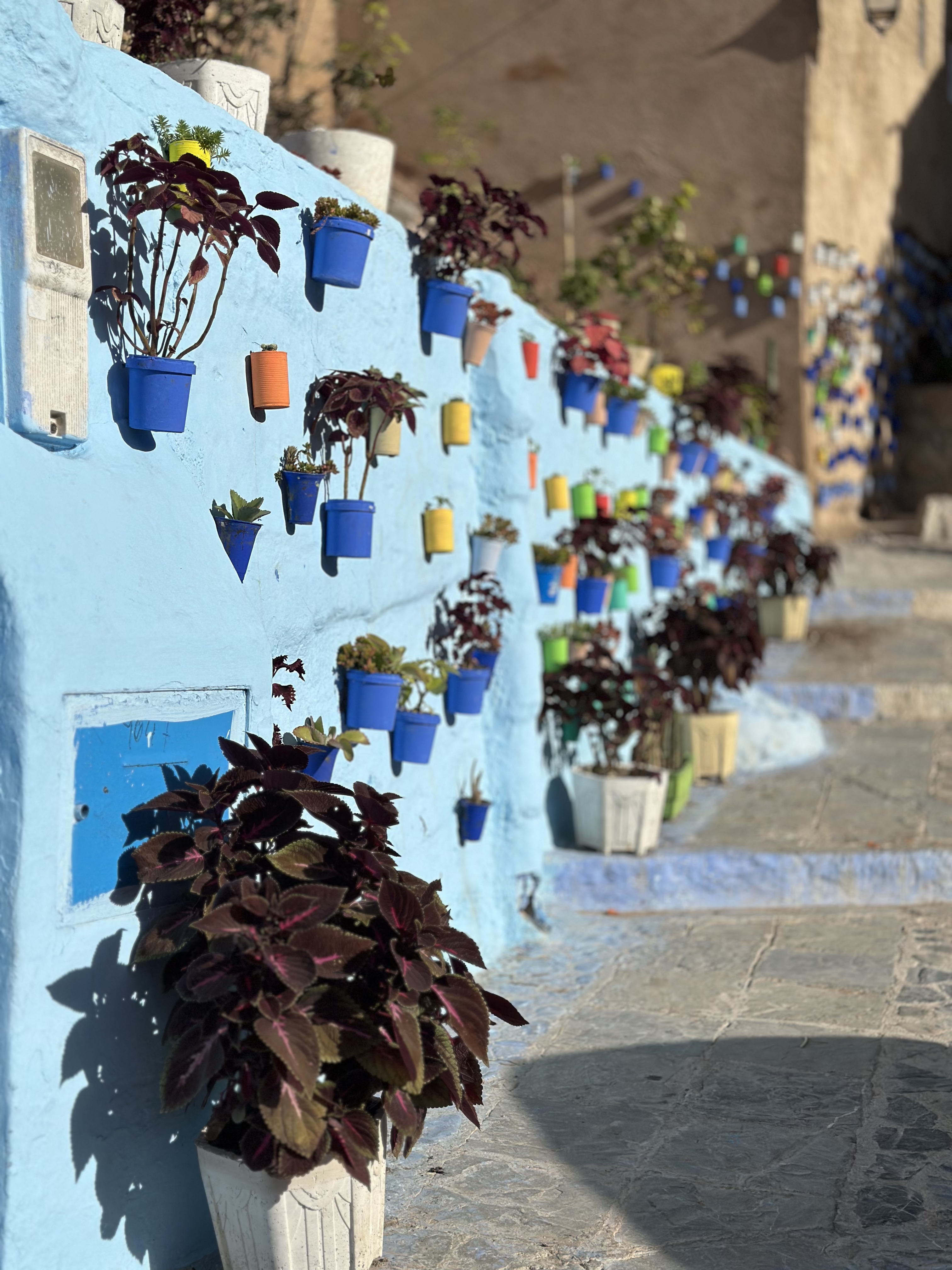 Увидеть Весь Марокко За 10 Дней (67/109)