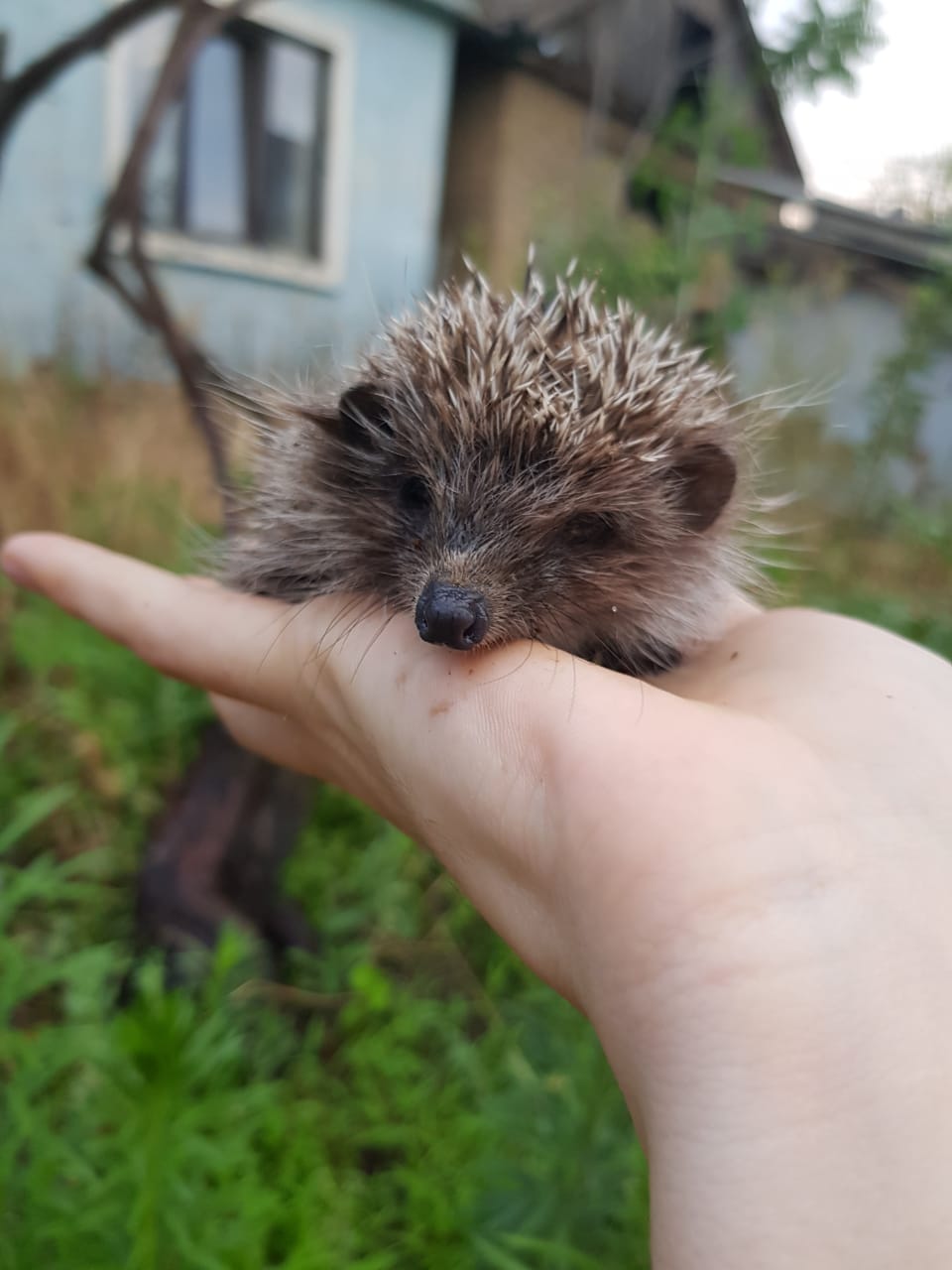 Смотровая Харачи - одна из лучших локации в России по оценкам National Geographic (11/17)