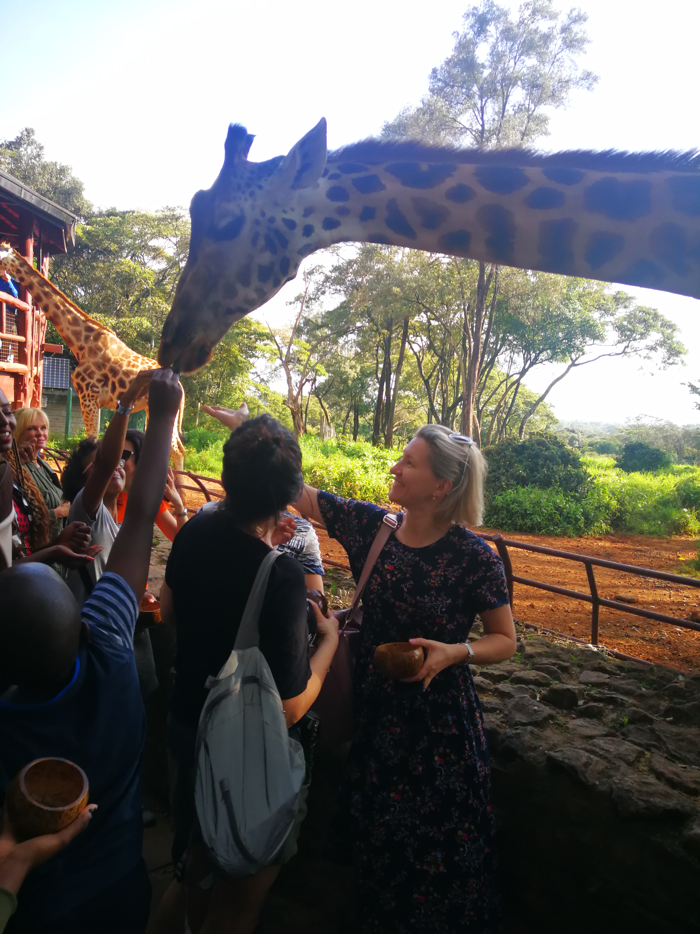 Великая миграция и вся Большая пятерка в лучших сафари Кении, Танзании и Занзибара (4/40)
