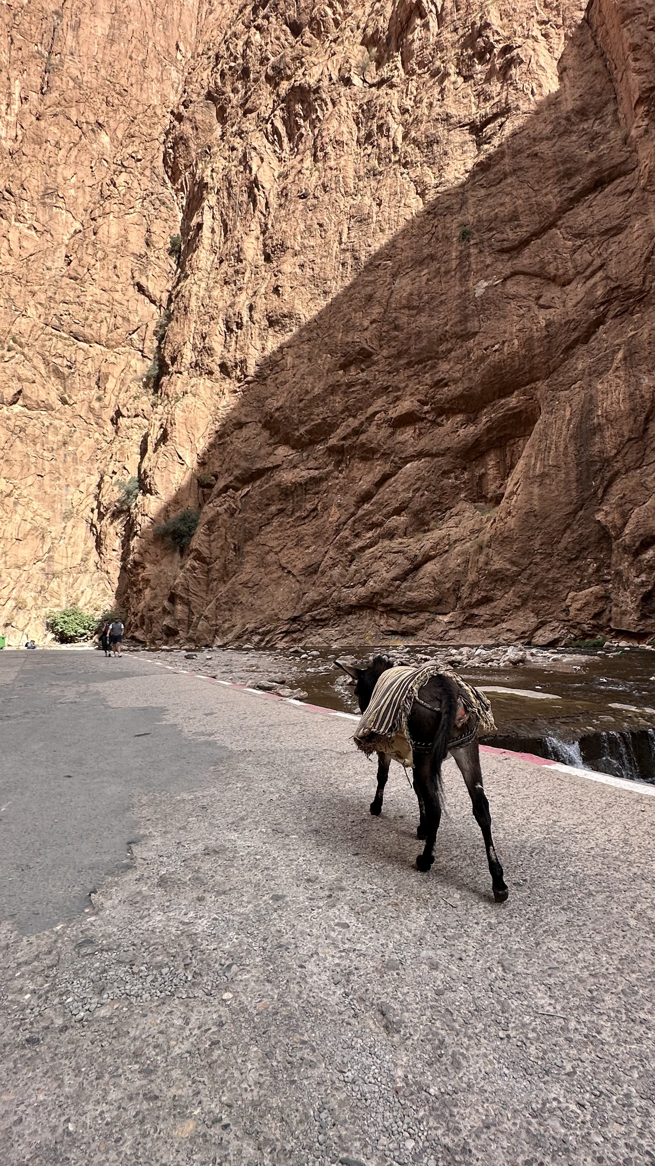 Увидеть Весь Марокко За 10 Дней (10/109)