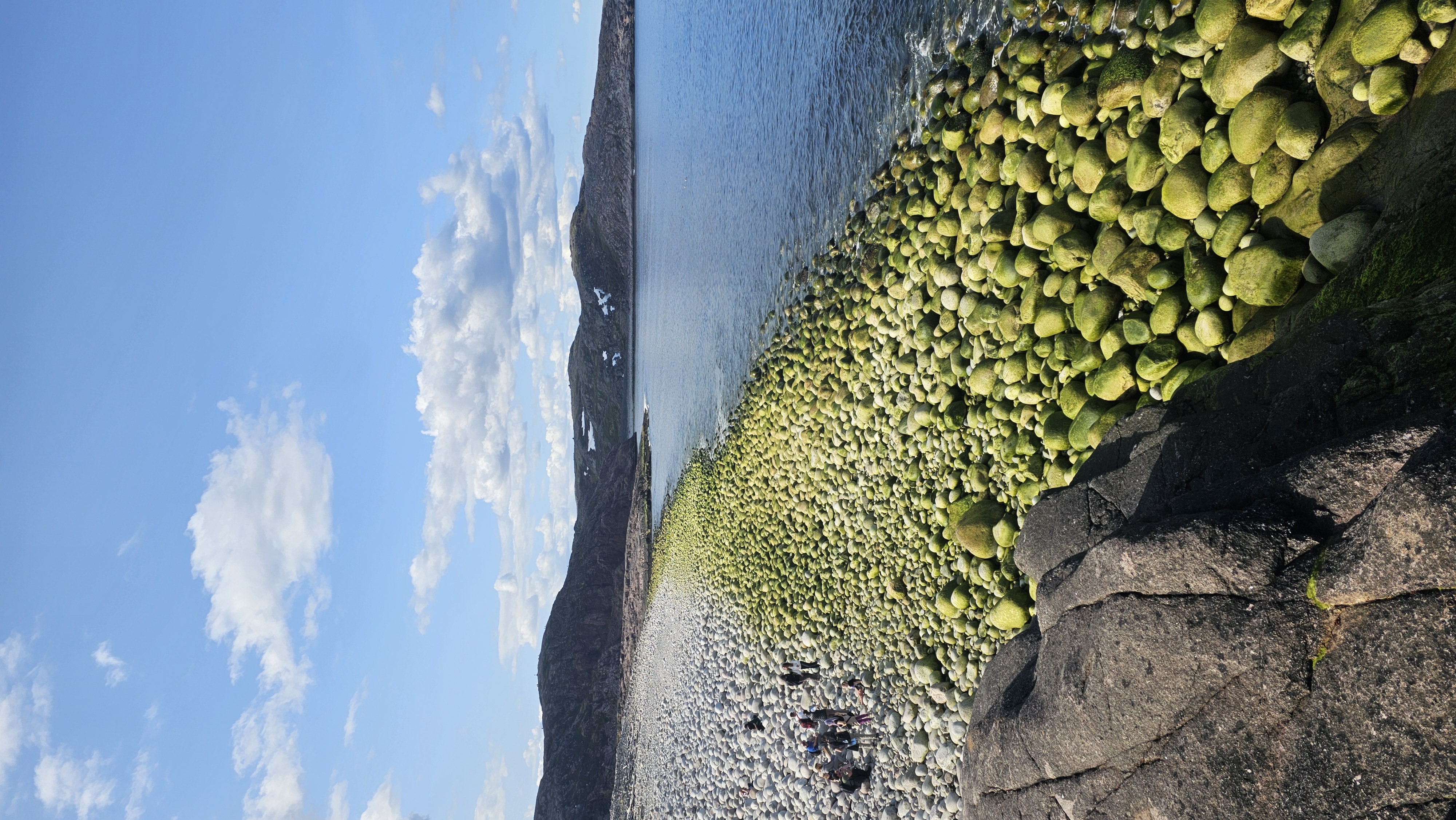 Териберка, Киты, Крабы, Баня. Всё Включено (22/38)