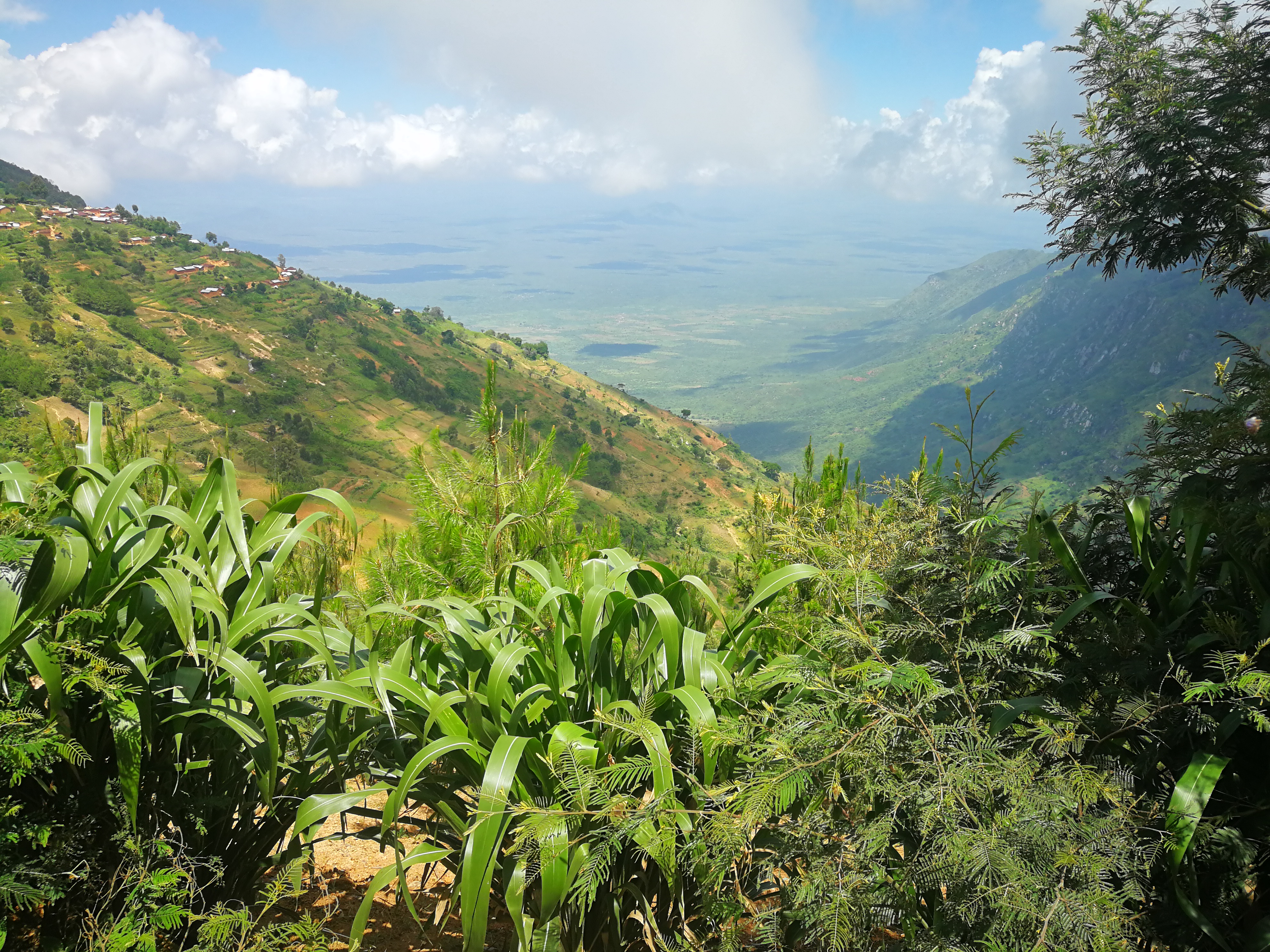 Великая миграция и вся Большая пятерка в лучших сафари Кении, Танзании и Занзибара (21/40)
