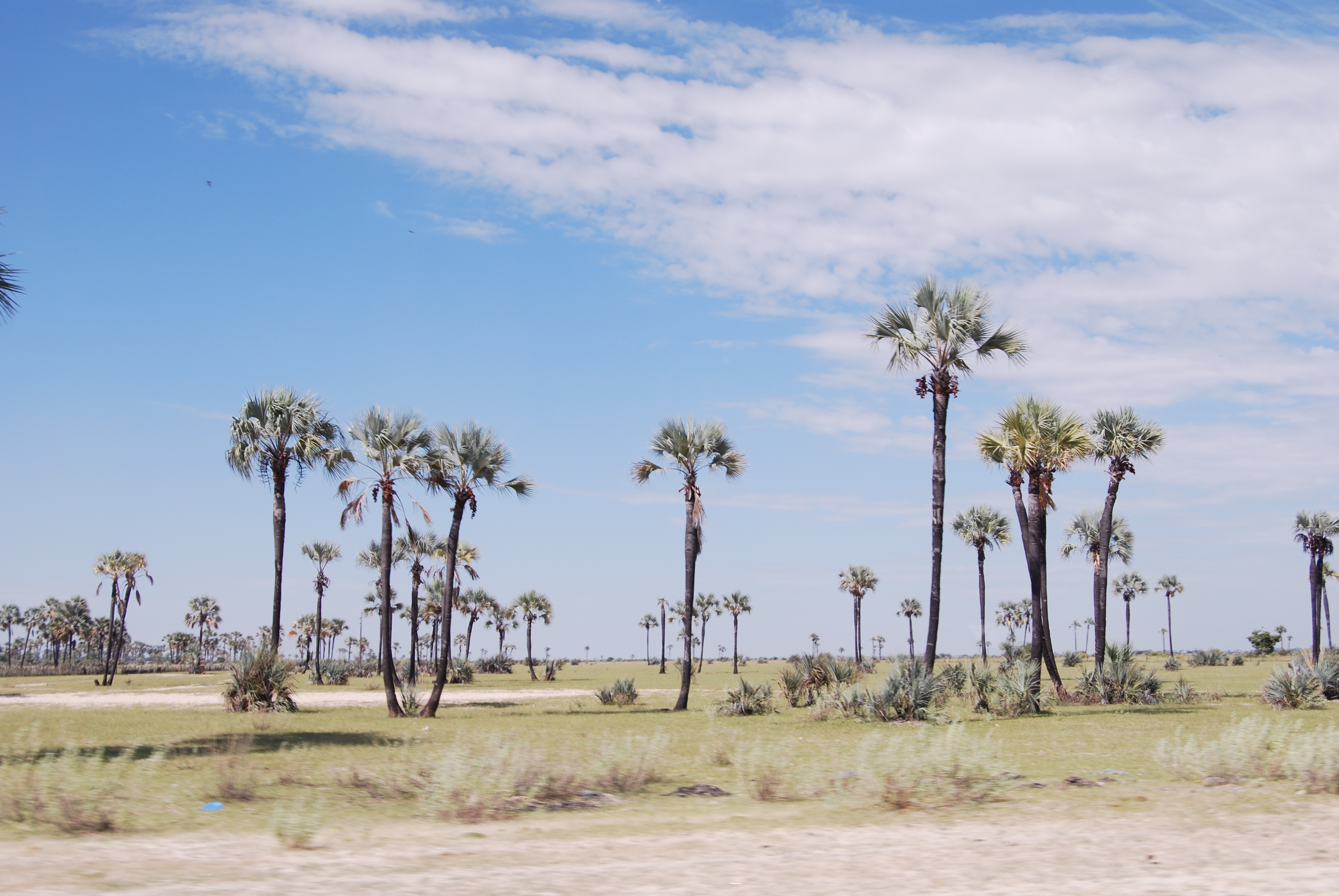 Авторская Экспедиция Вокруг Света За 30 Дней (14/36)