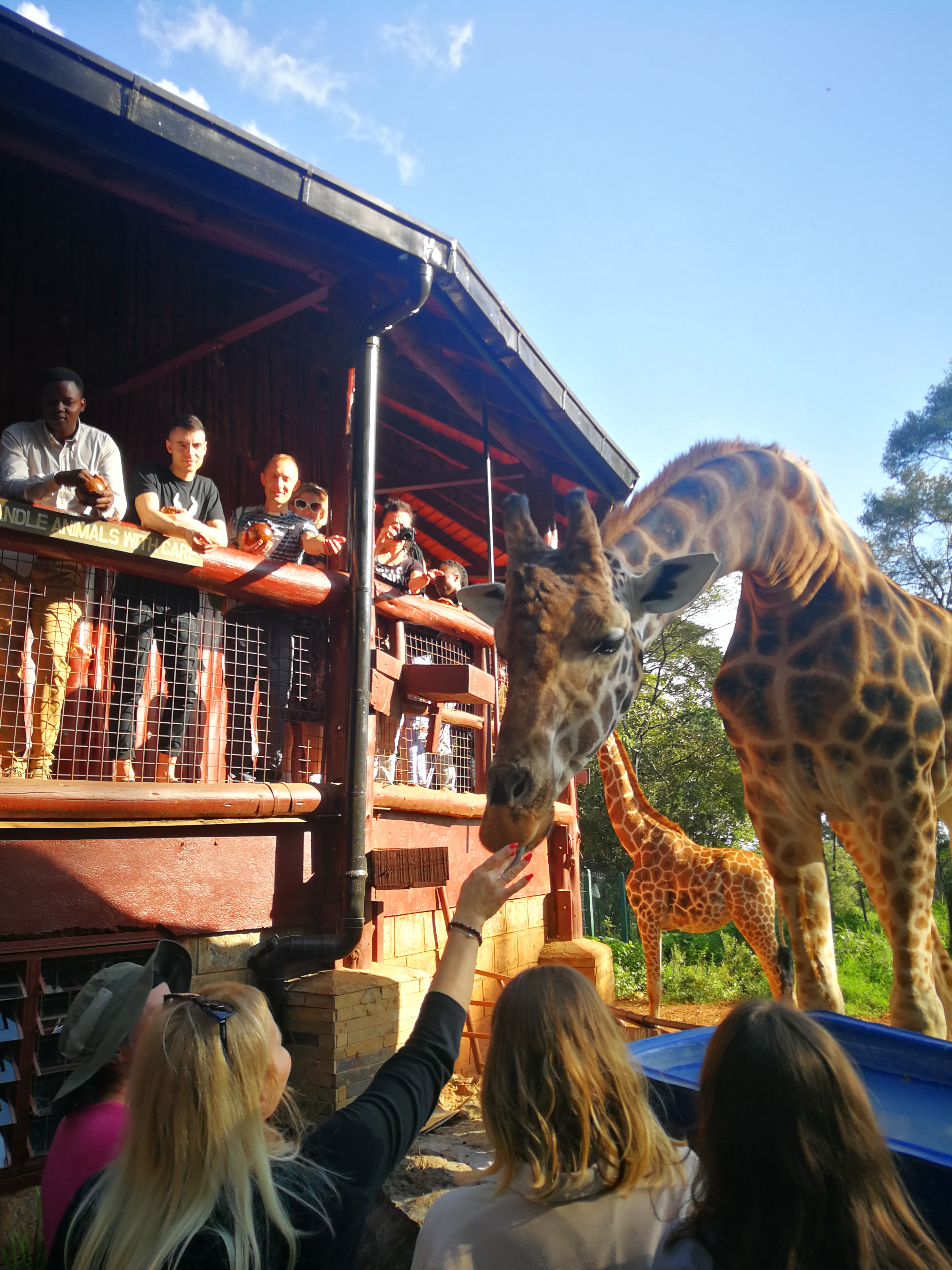Великая миграция и вся Большая пятерка в лучших сафари Кении, Танзании и Занзибара (5/40)