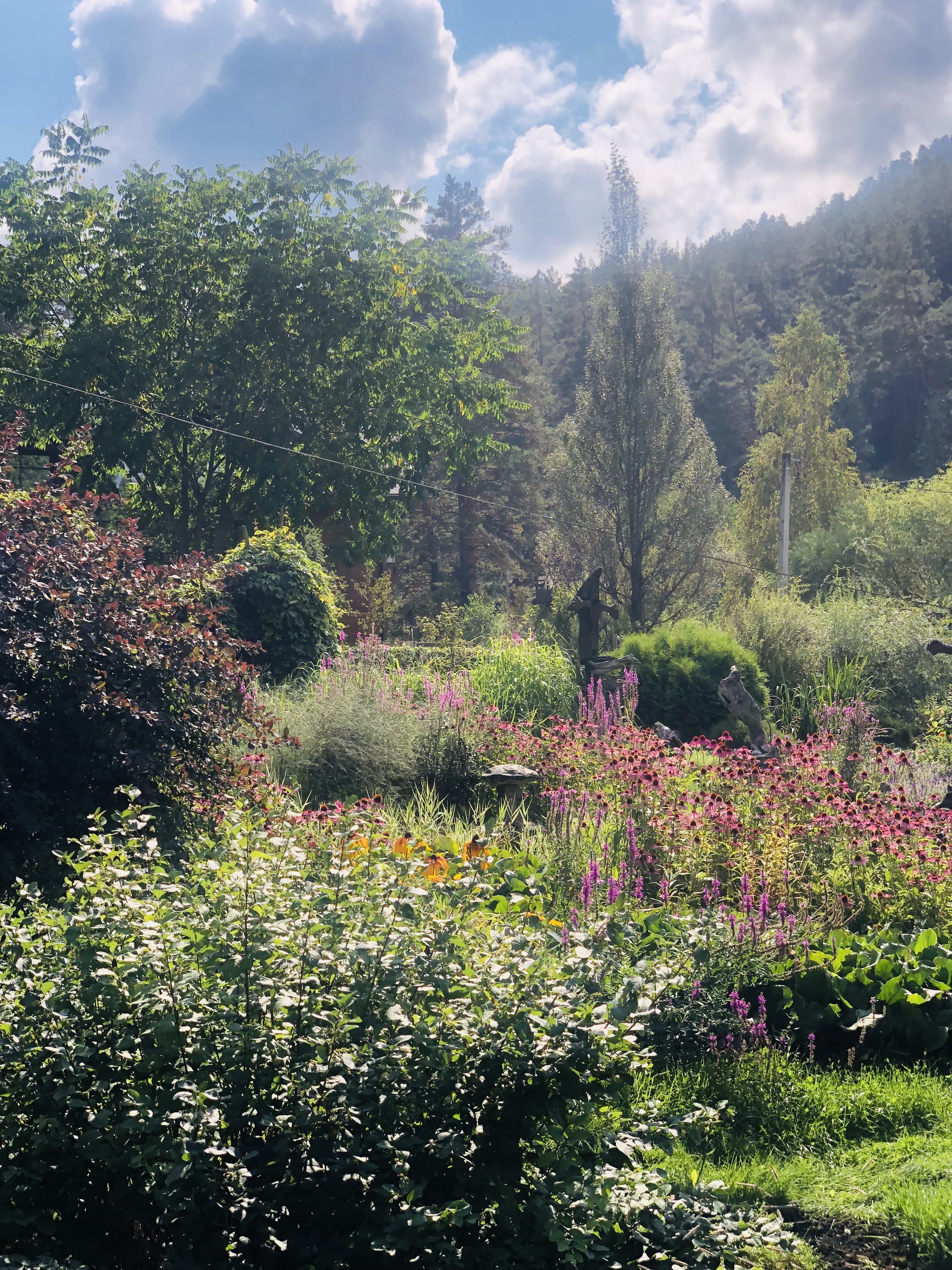 Сокровища Чемала