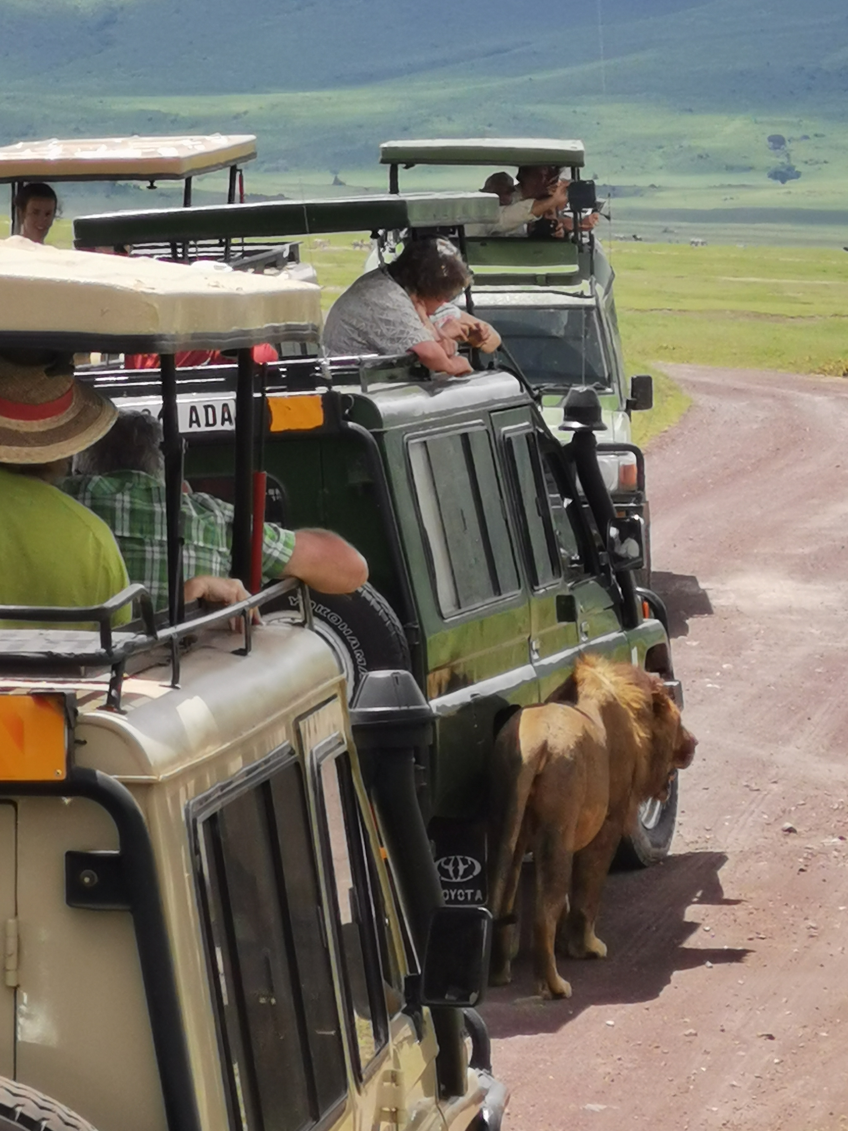 Великая миграция и вся Большая пятерка в лучших сафари Кении, Танзании и Занзибара (17/40)