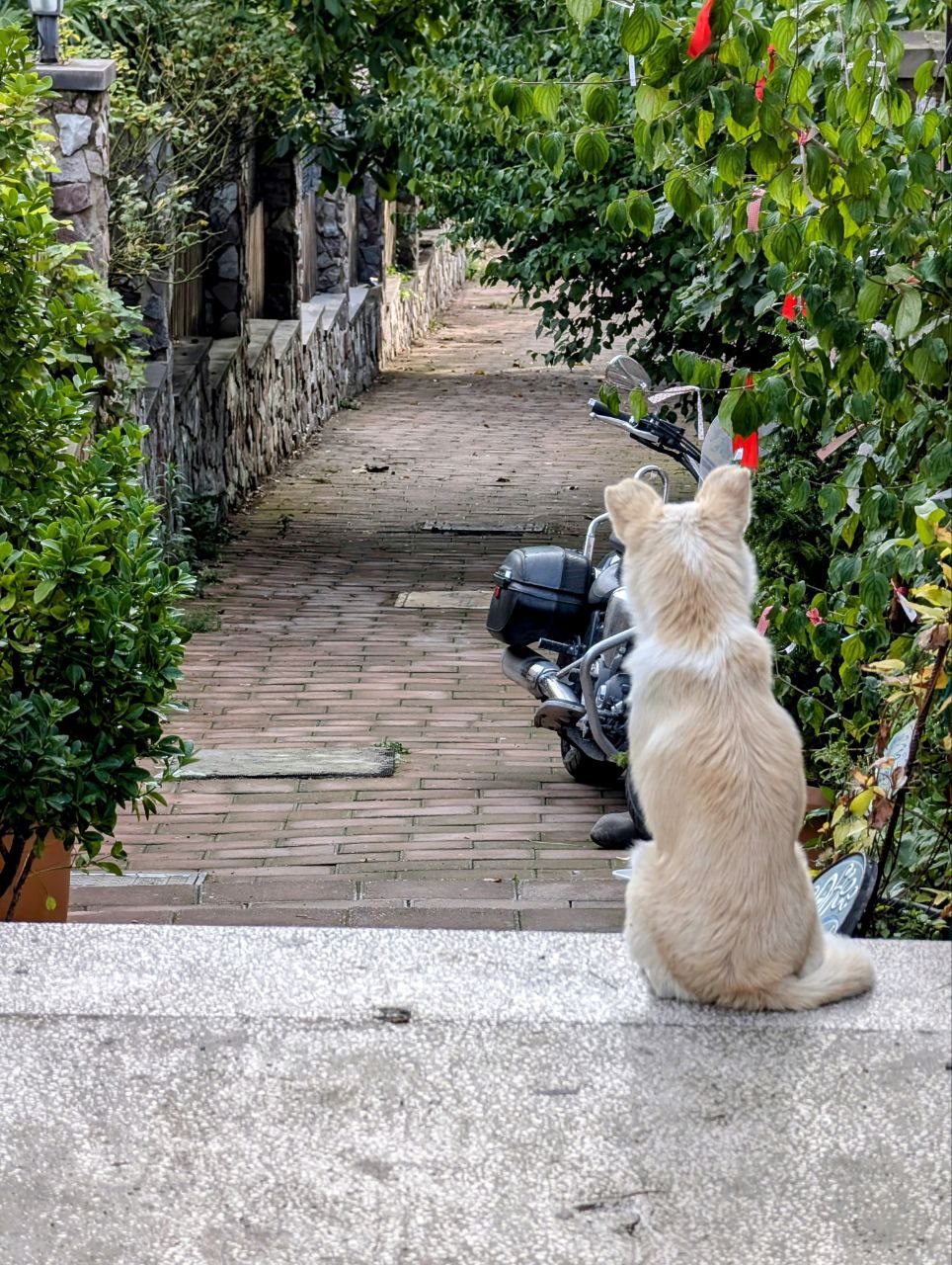 Велопоход по Грузии (19/21)