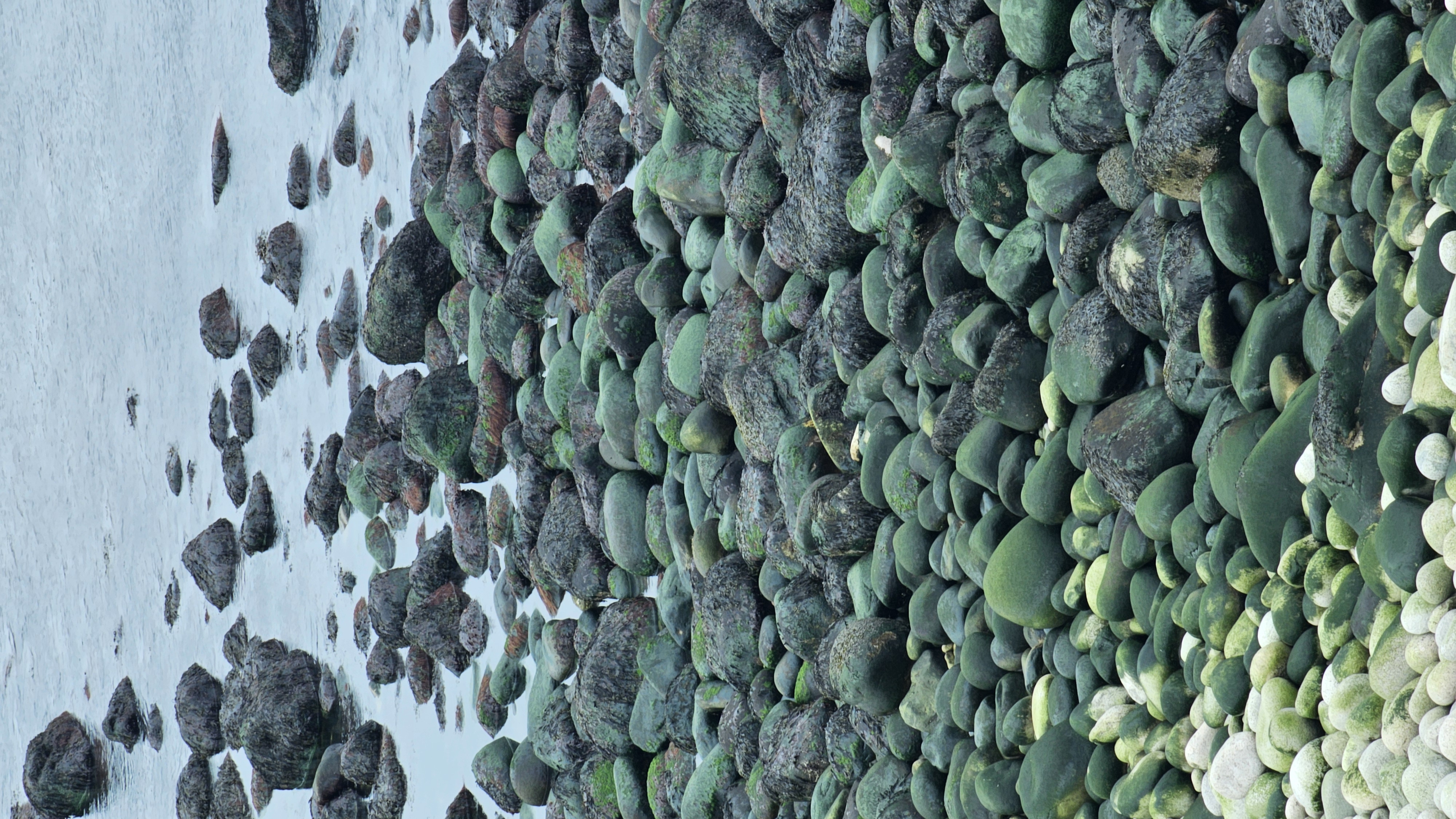 Териберка, Киты, Крабы, Баня. Всё Включено (12/38)