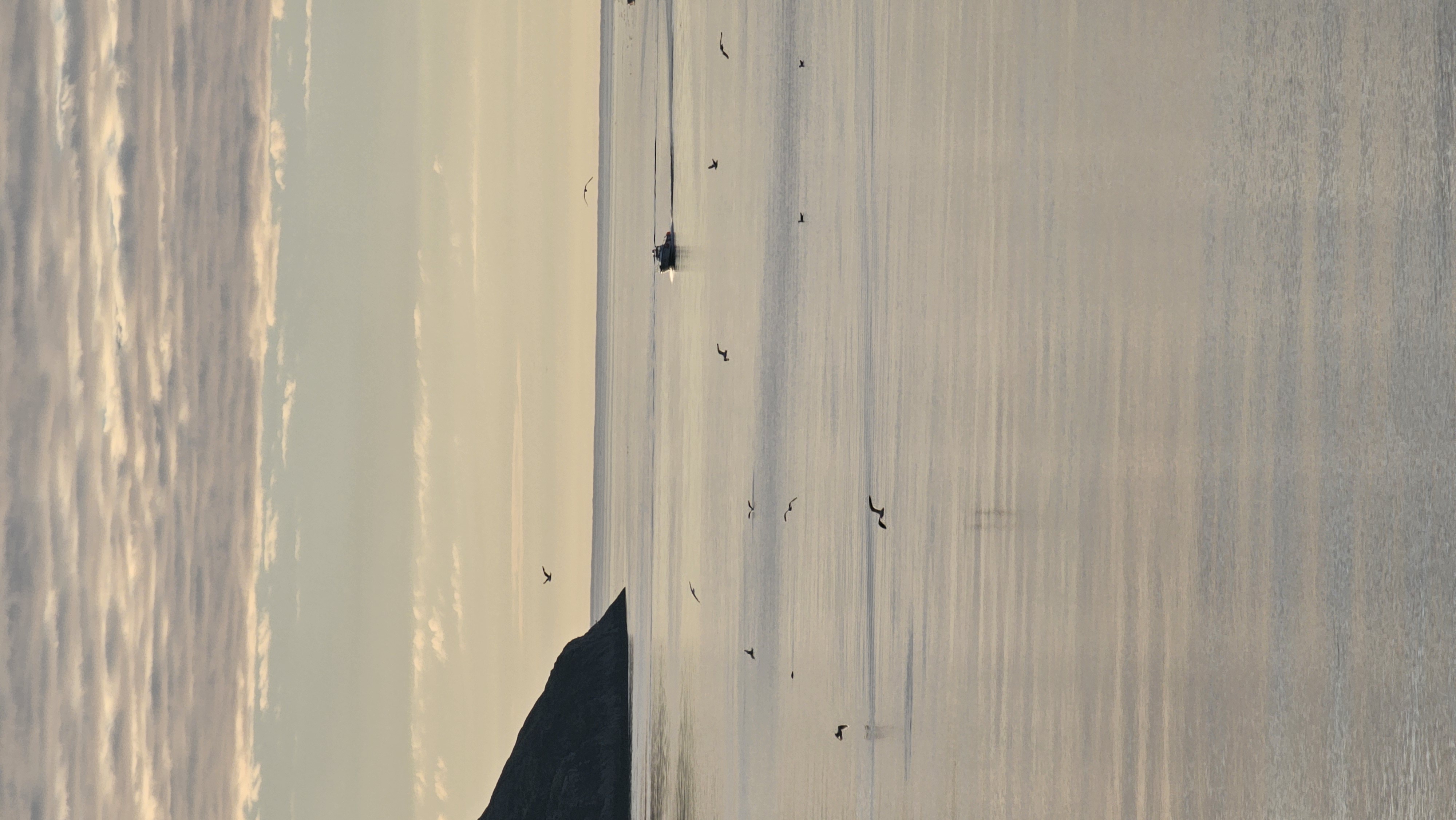 Териберка, Киты, Крабы, Баня. Всё Включено (24/38)