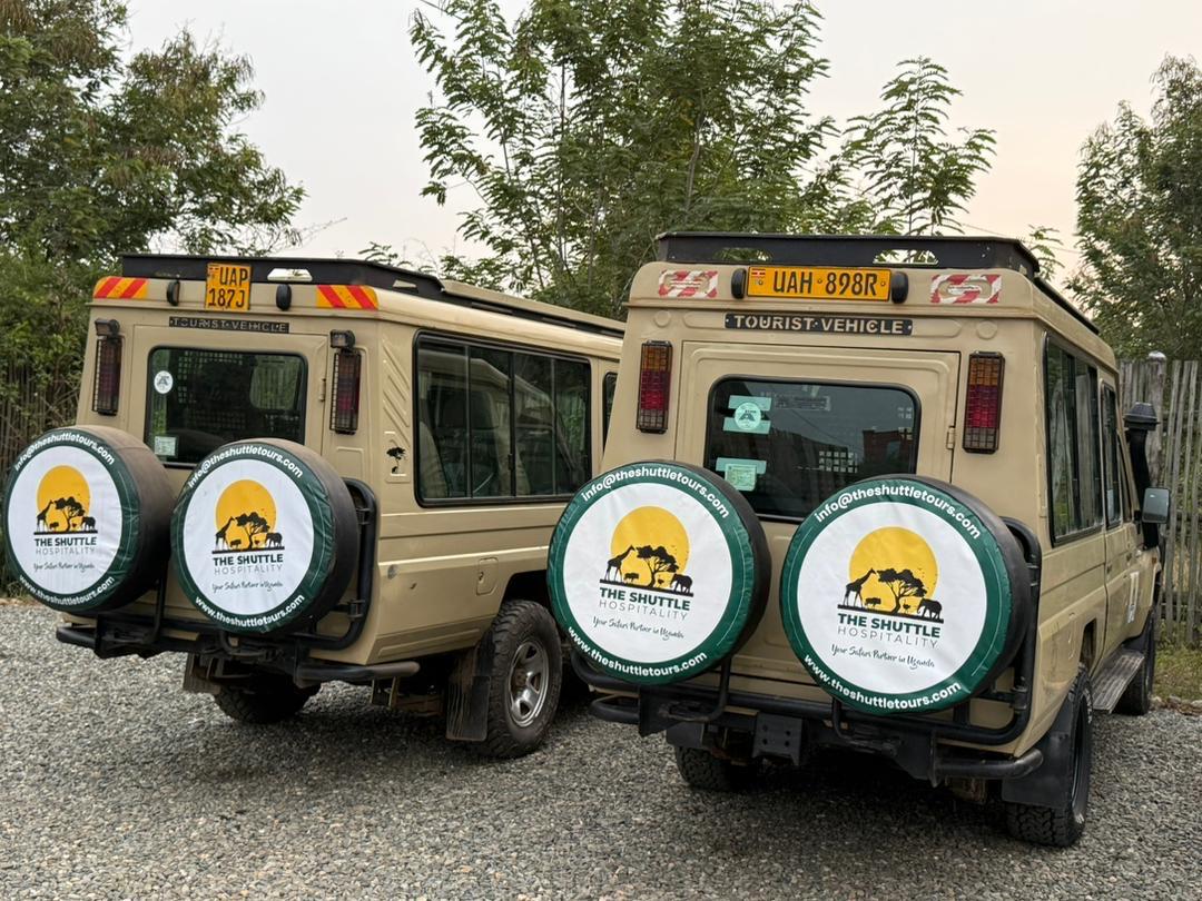 3 ДНЯ — СПЕЦИАЛЬНОЕ ПРЕДЛОЖЕНИЕ ДЛЯ ГОРИЛЛ (15/16)