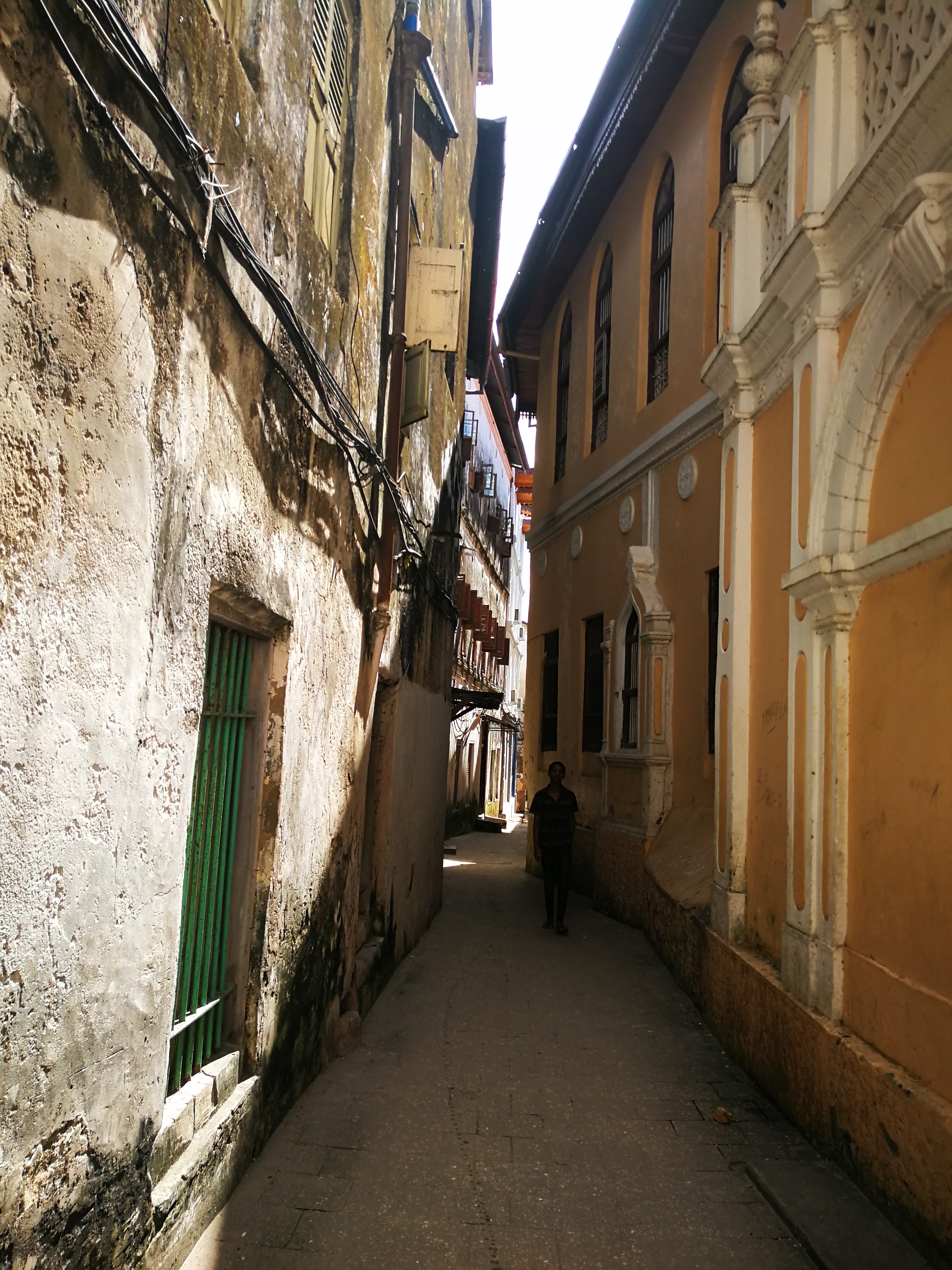 Великая миграция и вся Большая пятерка в лучших сафари Кении, Танзании и Занзибара (28/40)