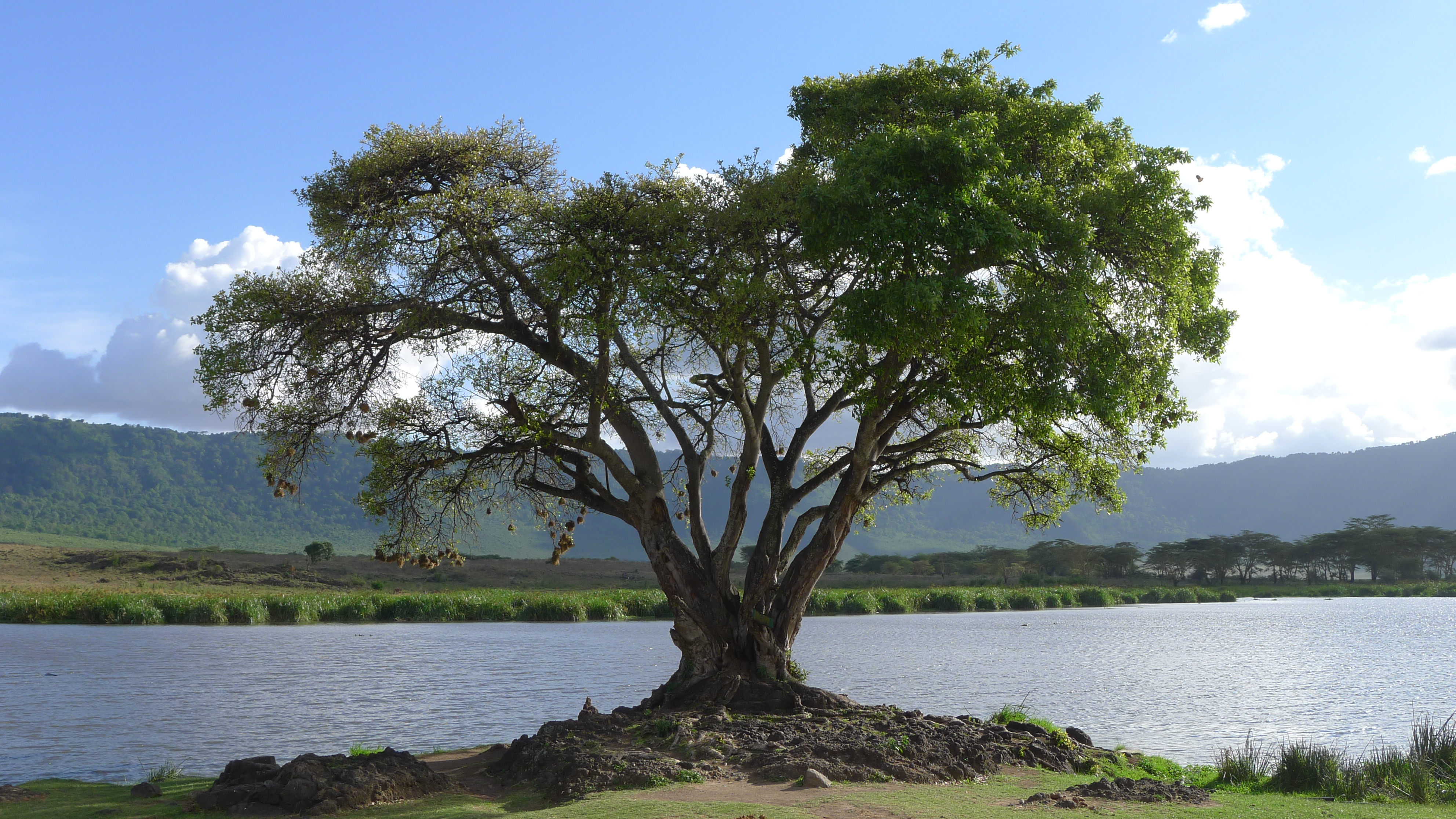 Авторская Экспедиция Вокруг Света За 30 Дней (16/36)