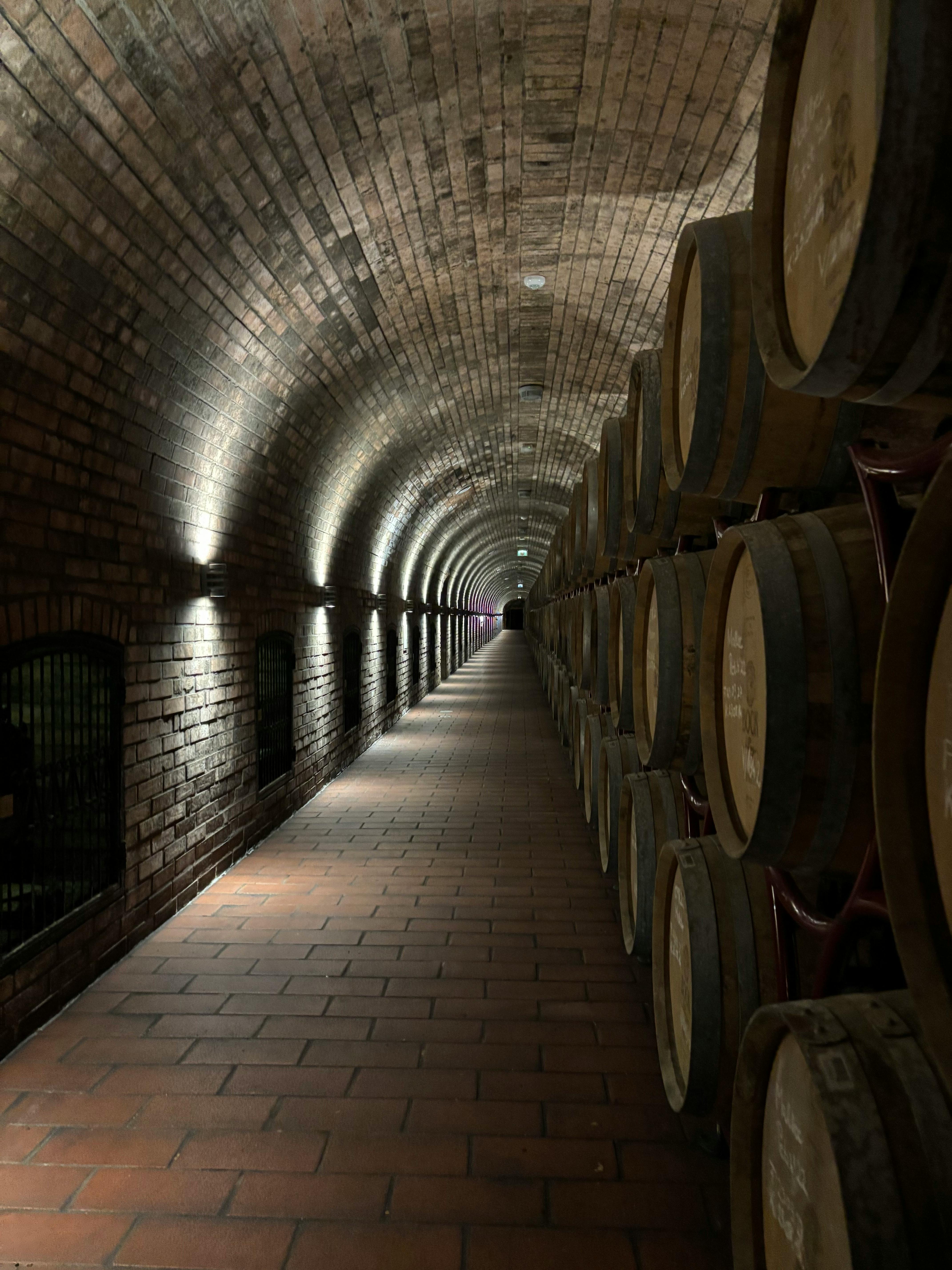 Венгрия: искусство жить медленно (19/28)