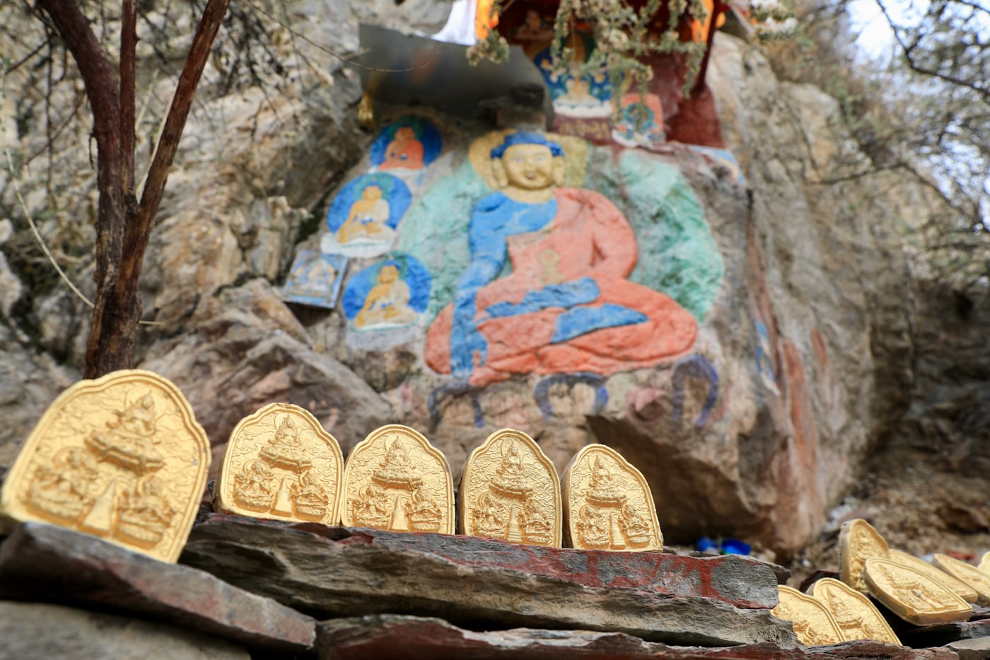 Путешествие к Эвересту: транстибетский экспресс к Крыше Мира (18/25)