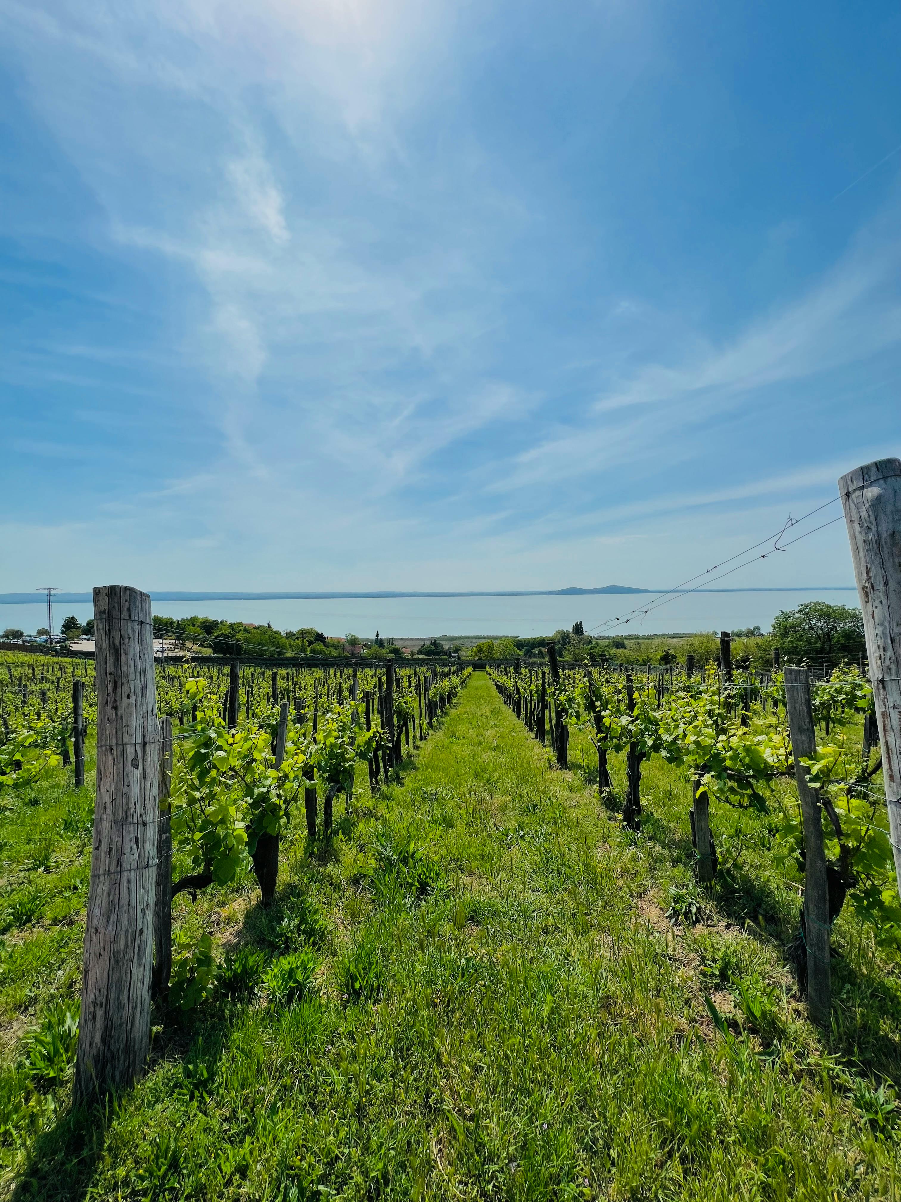 Венгрия: искусство жить медленно (20/28)