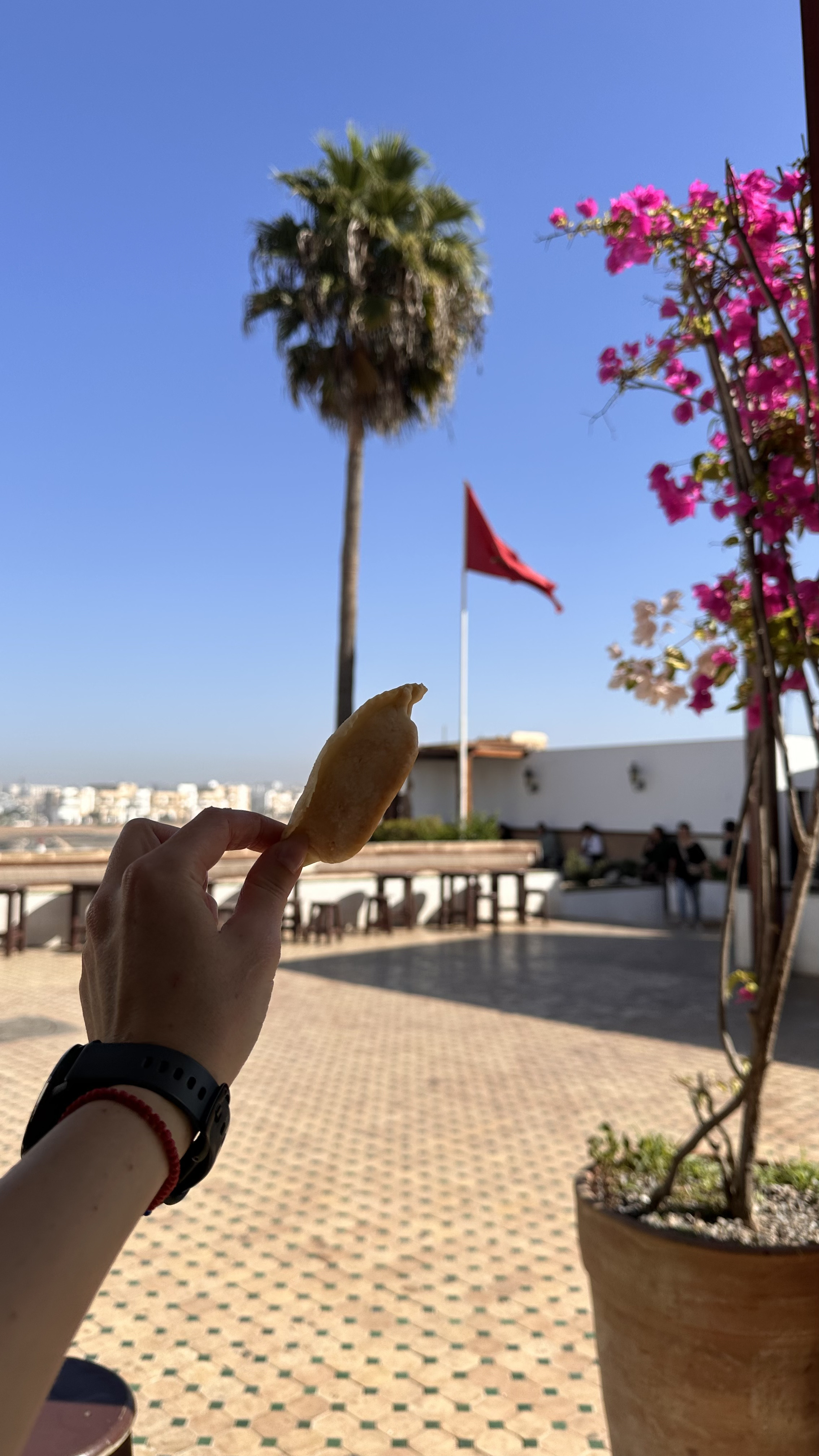 Увидеть Весь Марокко За 10 Дней (60/109)