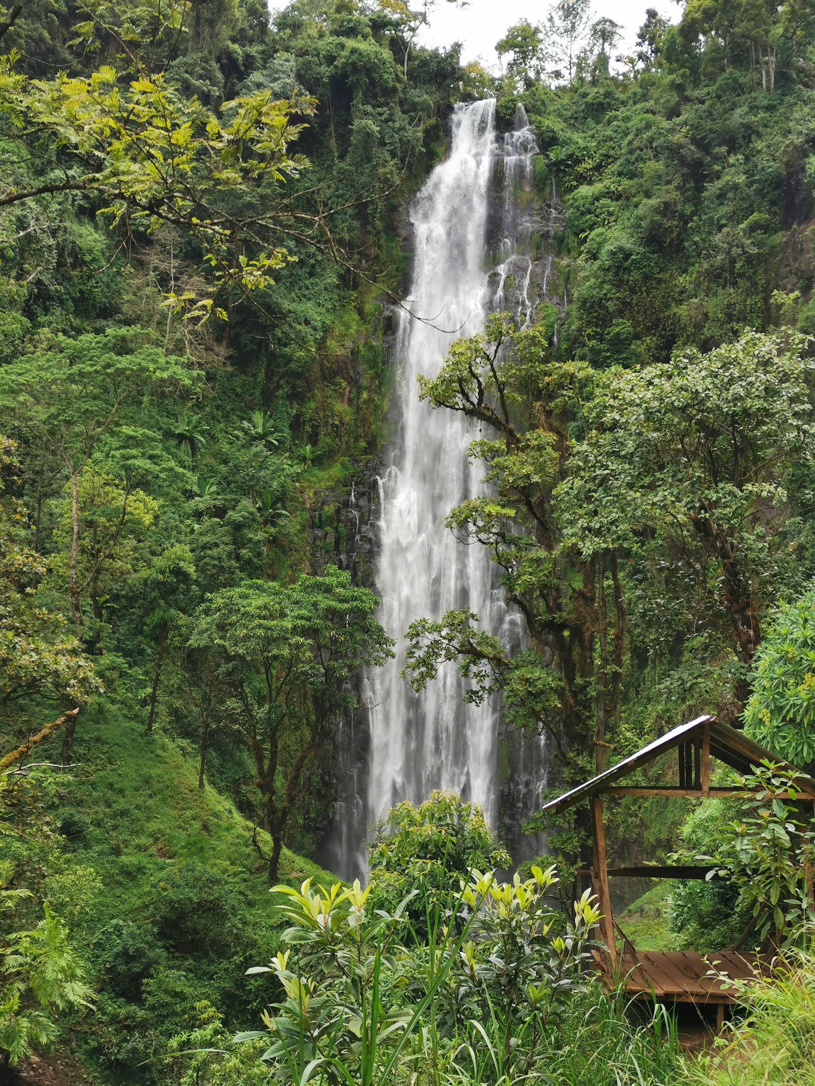Великая миграция и вся Большая пятерка в лучших сафари Кении, Танзании и Занзибара (25/40)