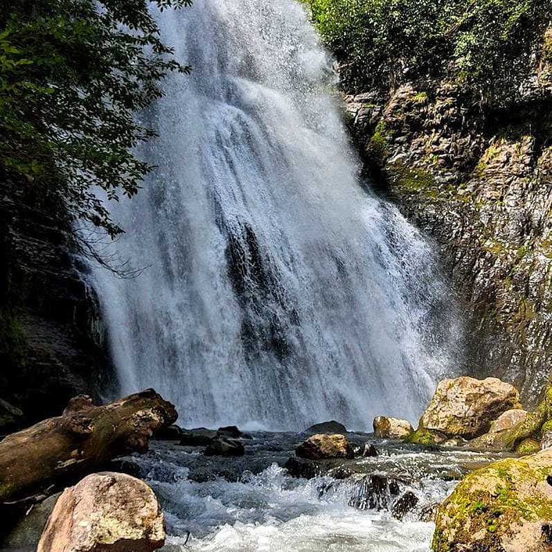 Майские праздники в Абхазии (9/15)