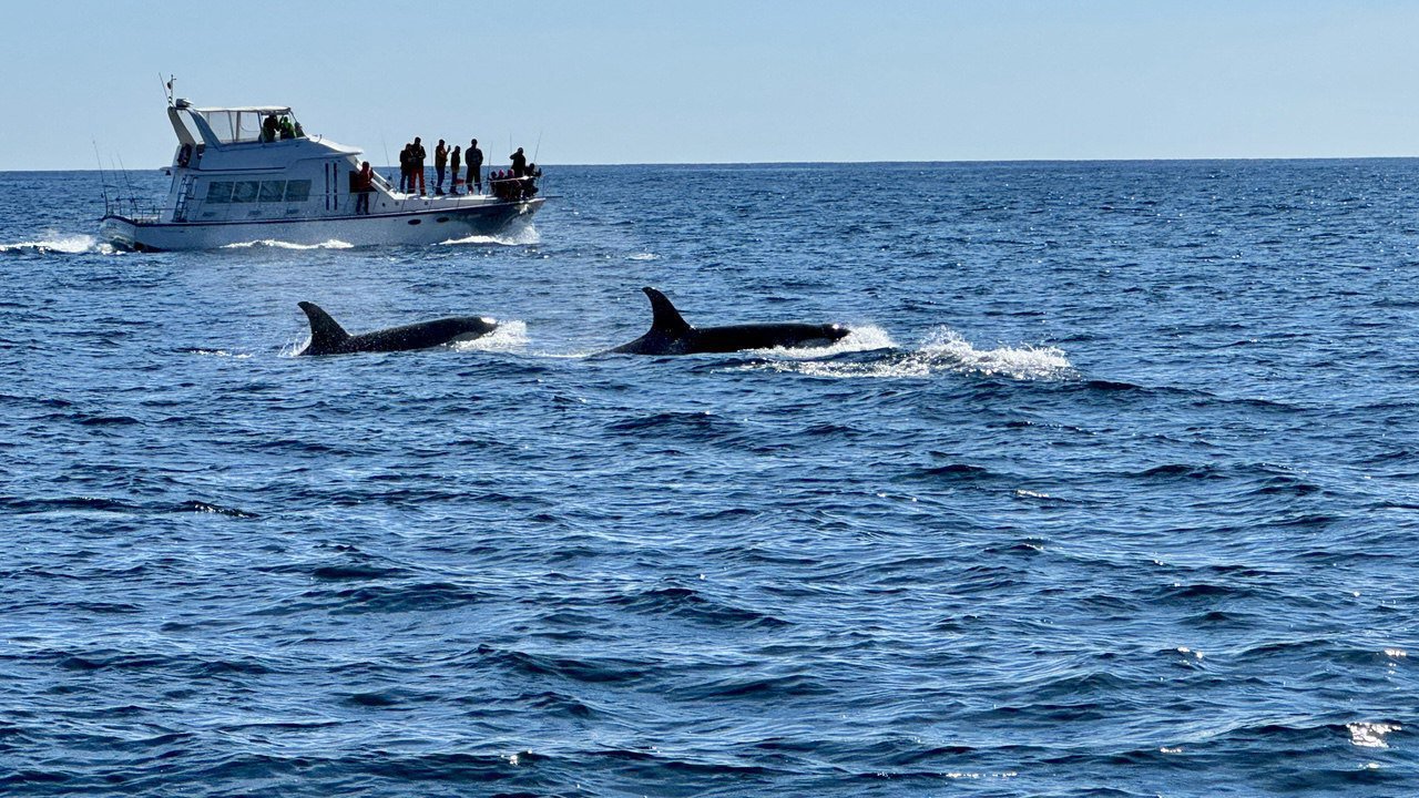Активный тур на Камчатку с комфортом (9/29)