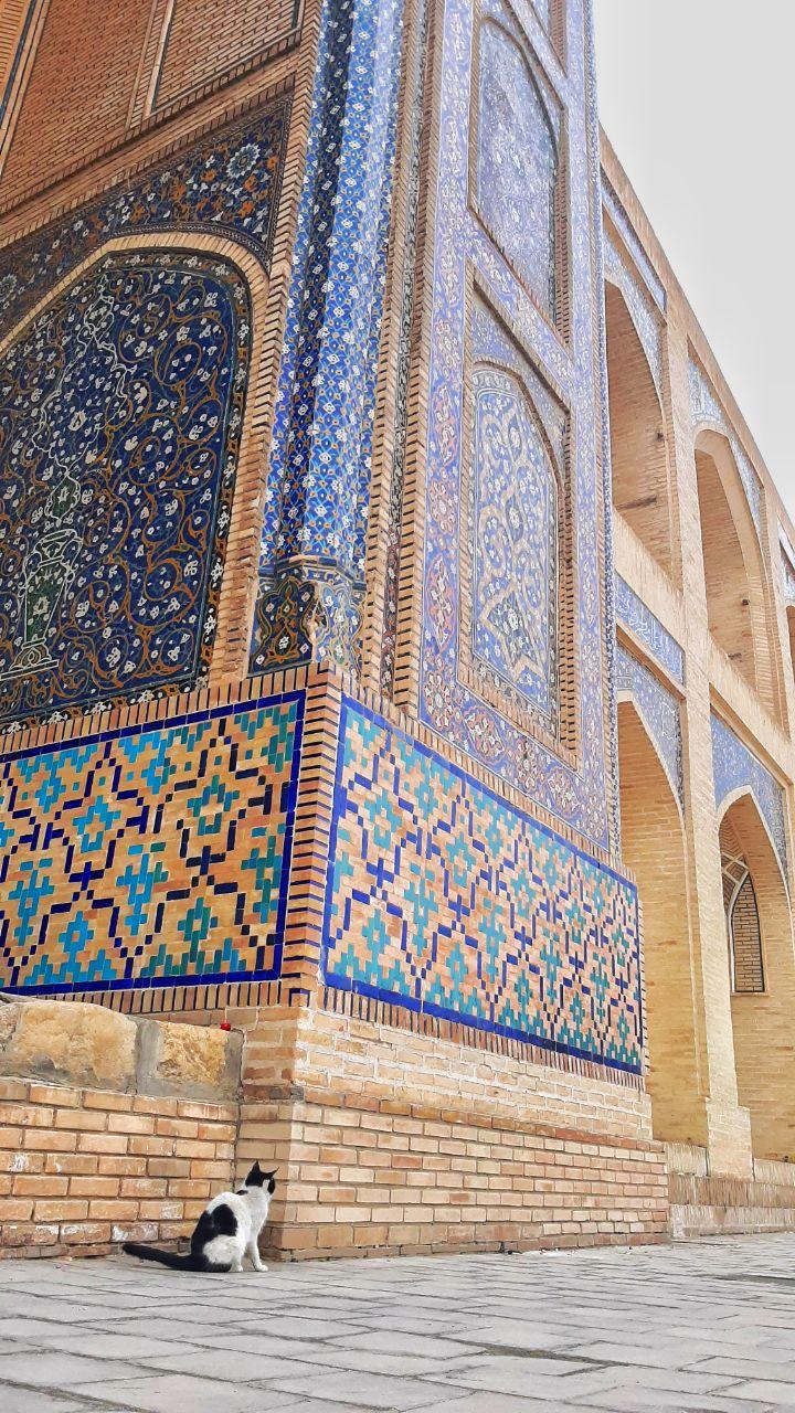 Зимний Узбекистан: 5 дней ( все включено) на поездах (21/36)