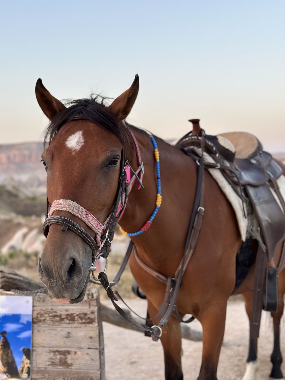 Премиум Каппадокия тур до 6 чел. Отель в пещере, конная прогулка, подземный город (20/33)