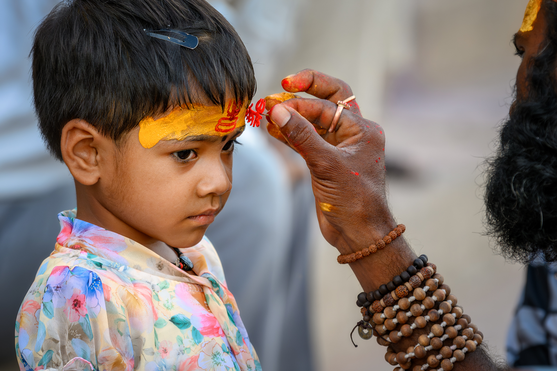 Золотой треугольник + Варанаси + праздник Холи (26/54)