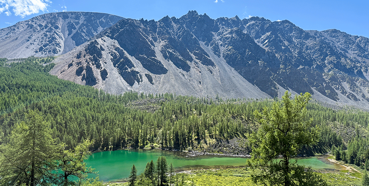 Треккинг на Алтай. Ущелье Актру (60/63)
