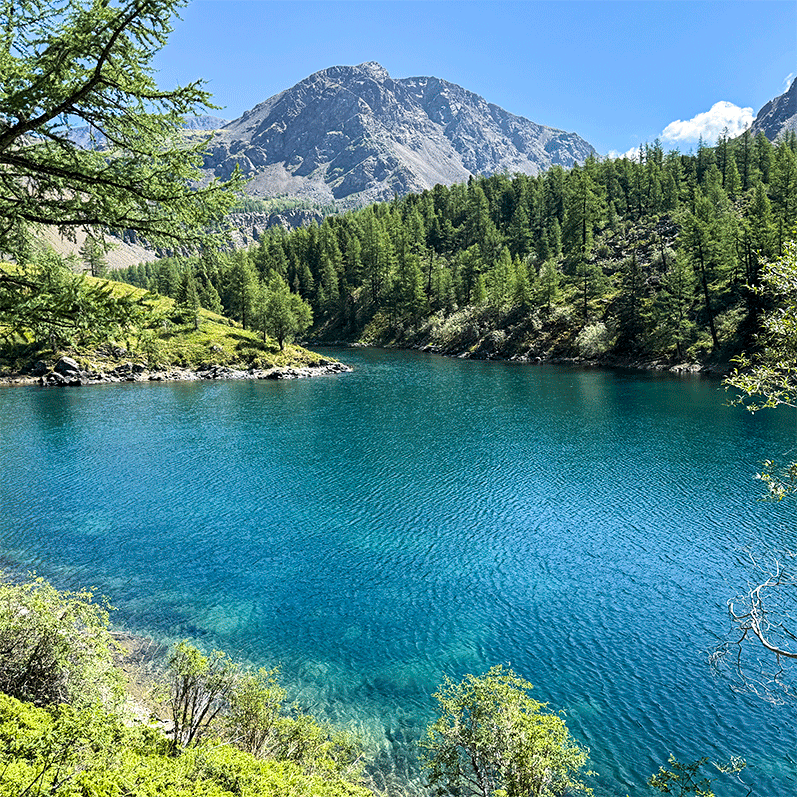 Горный лагерь на Алтае. Ущелье Актру (58/63)