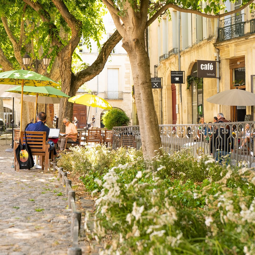 Юг Франции: вино, устрицы и средневековые города. (2/17)