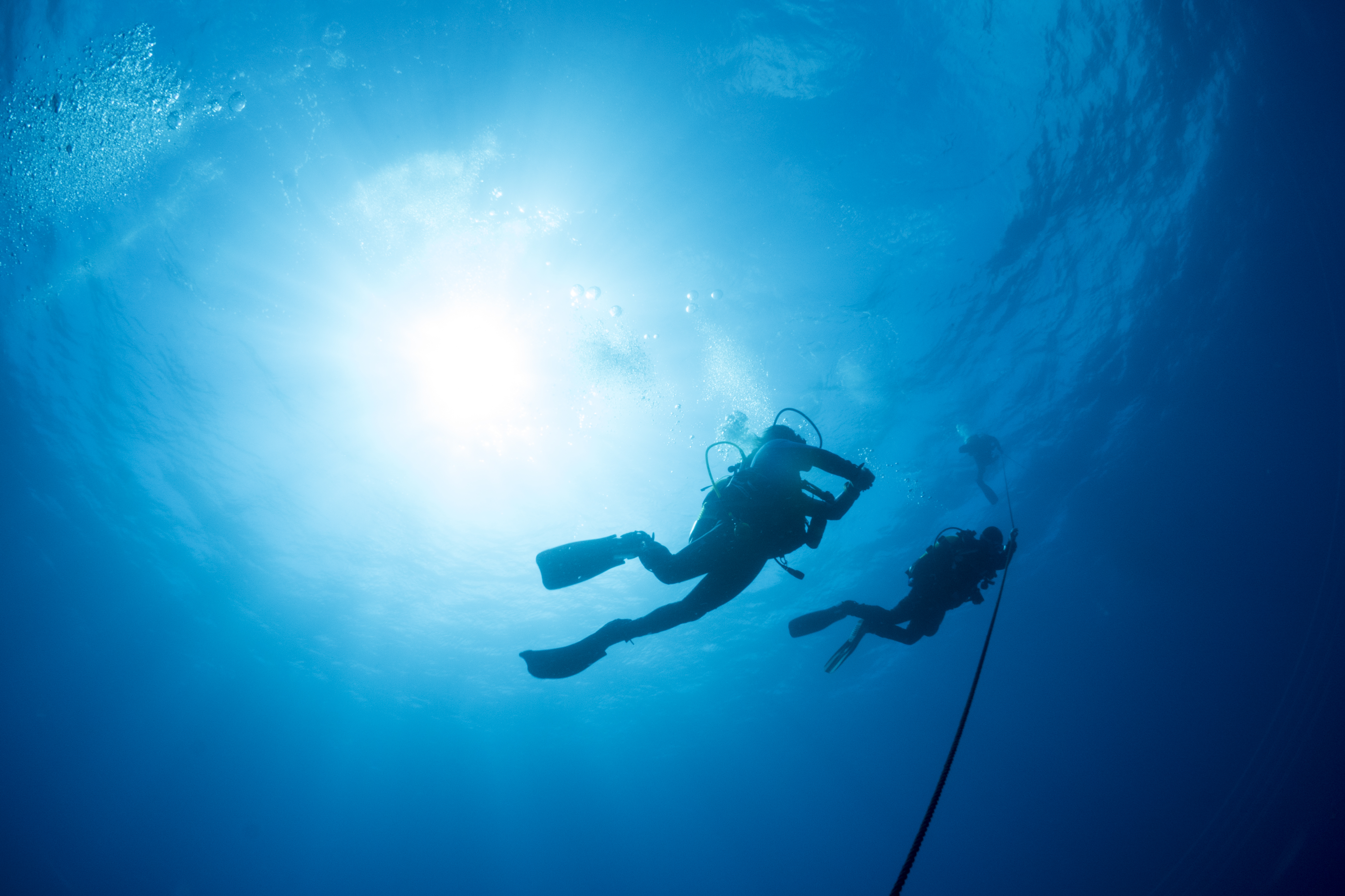 Дайвинг-приключение в Сиде (2/14)