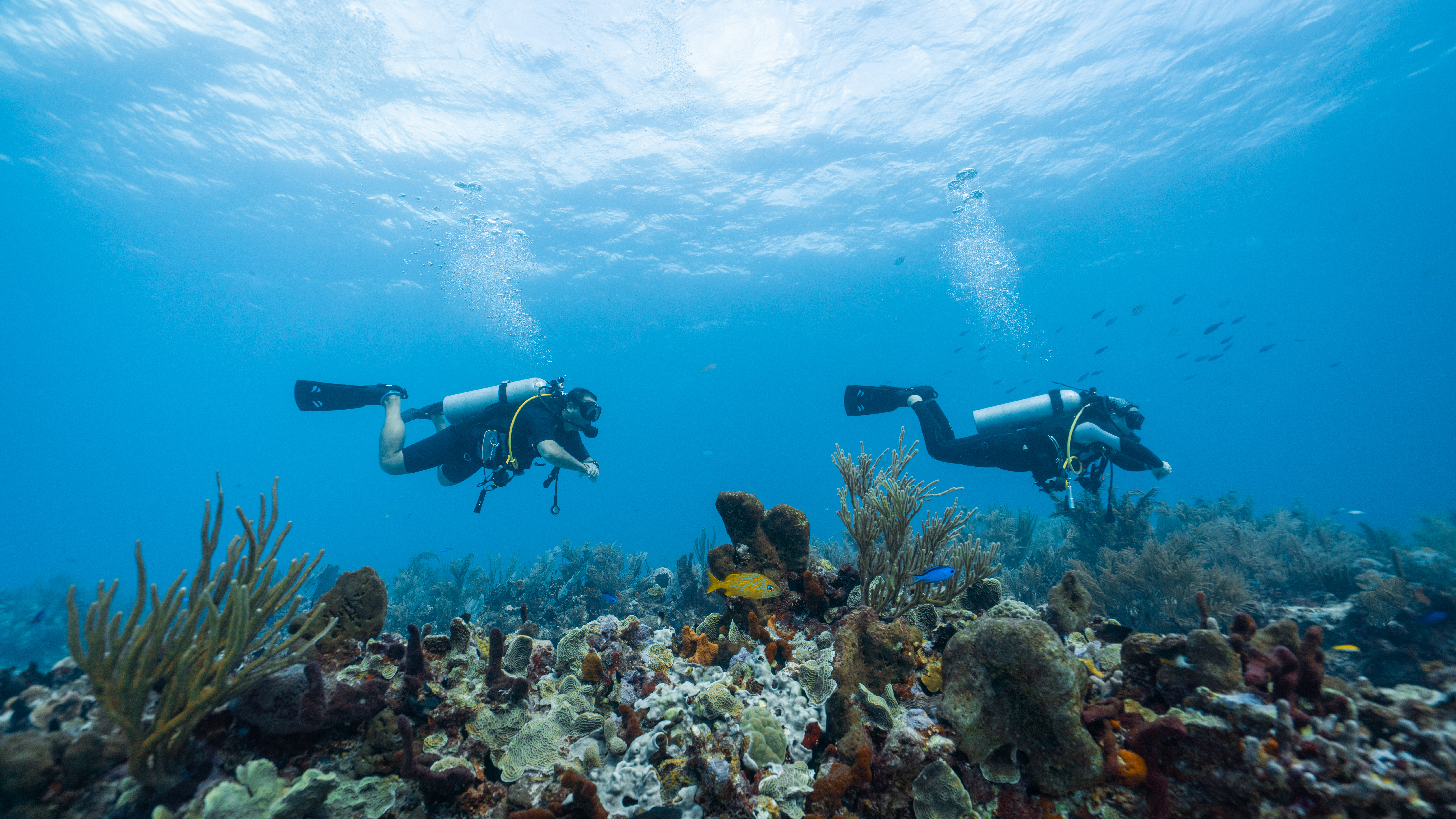 Средиземное море изнутри: дайвинг в Аланье (3/8)