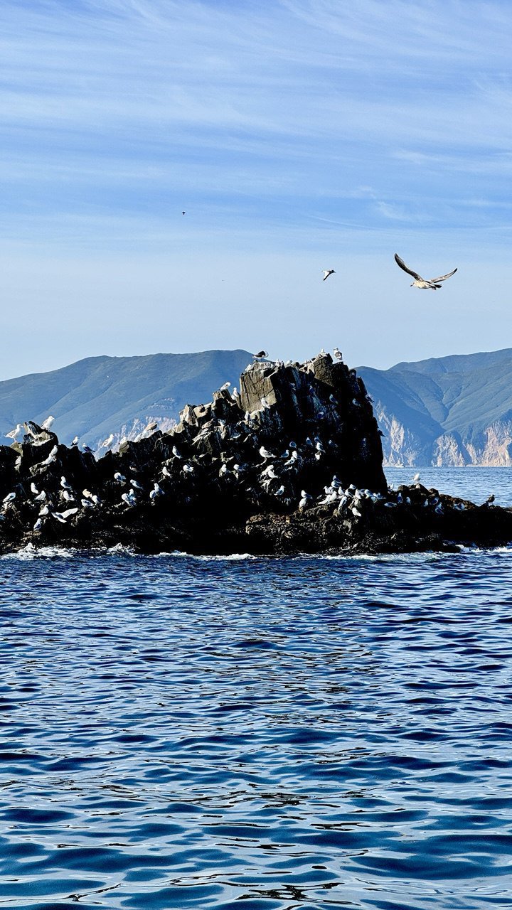 Активный тур на Камчатку с комфортом (26/29)