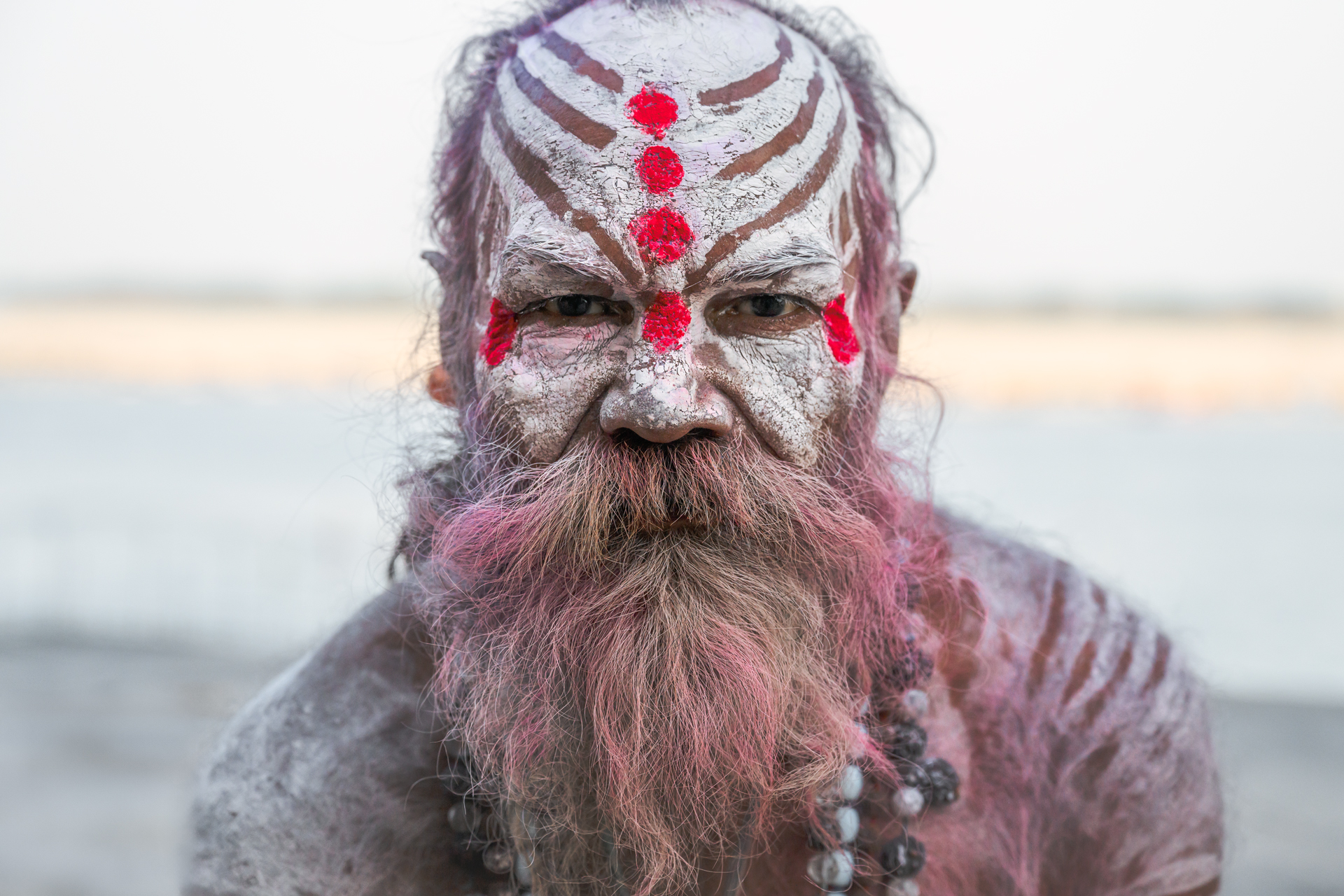 Золотой треугольник + Варанаси + праздник Холи (14/54)