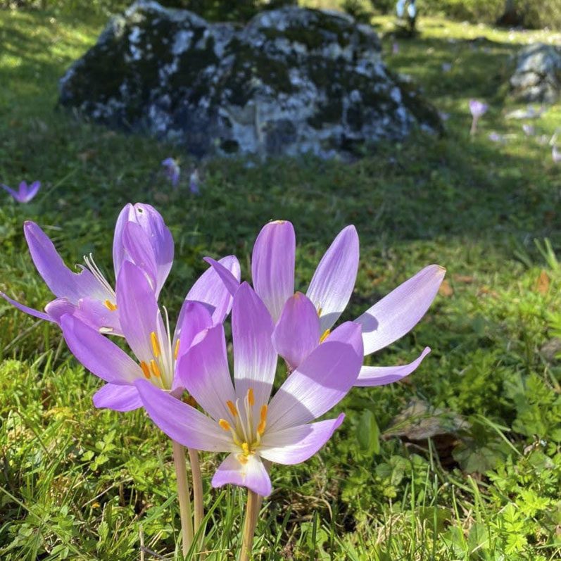 Возвращение в г. Минеральные Воды