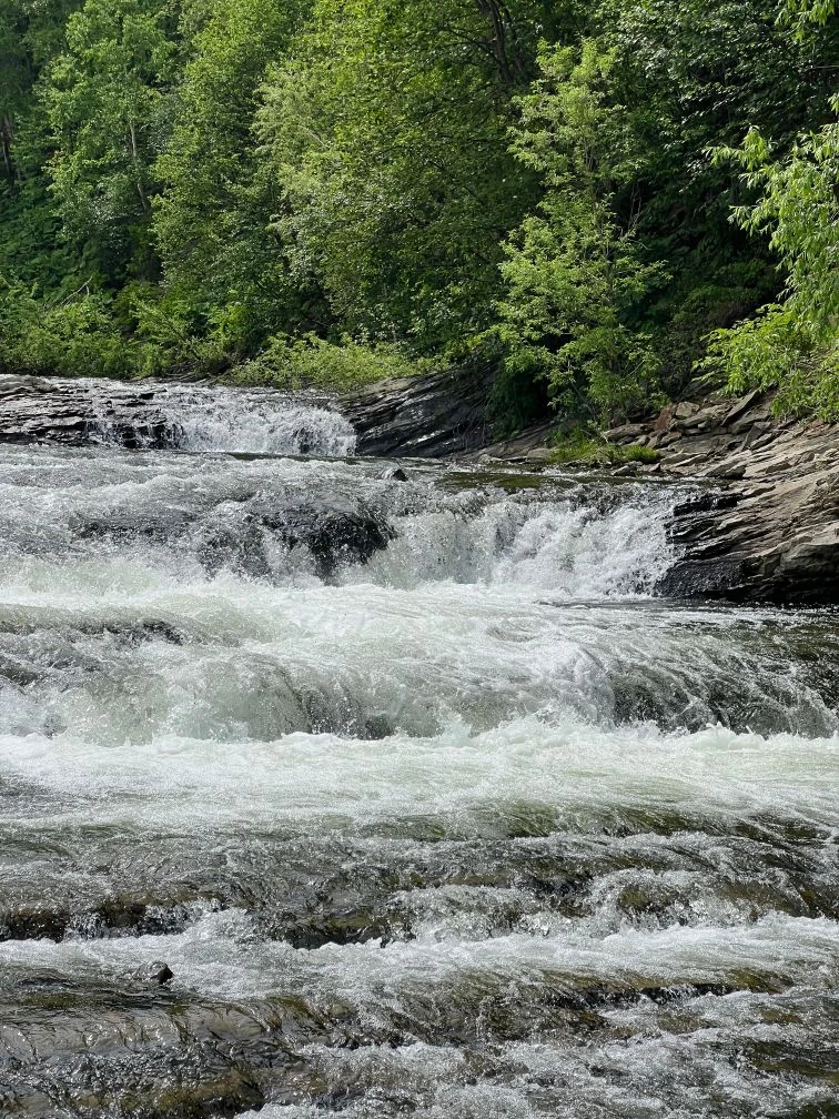 Сахалинский  Калейдоскоп (11/14)