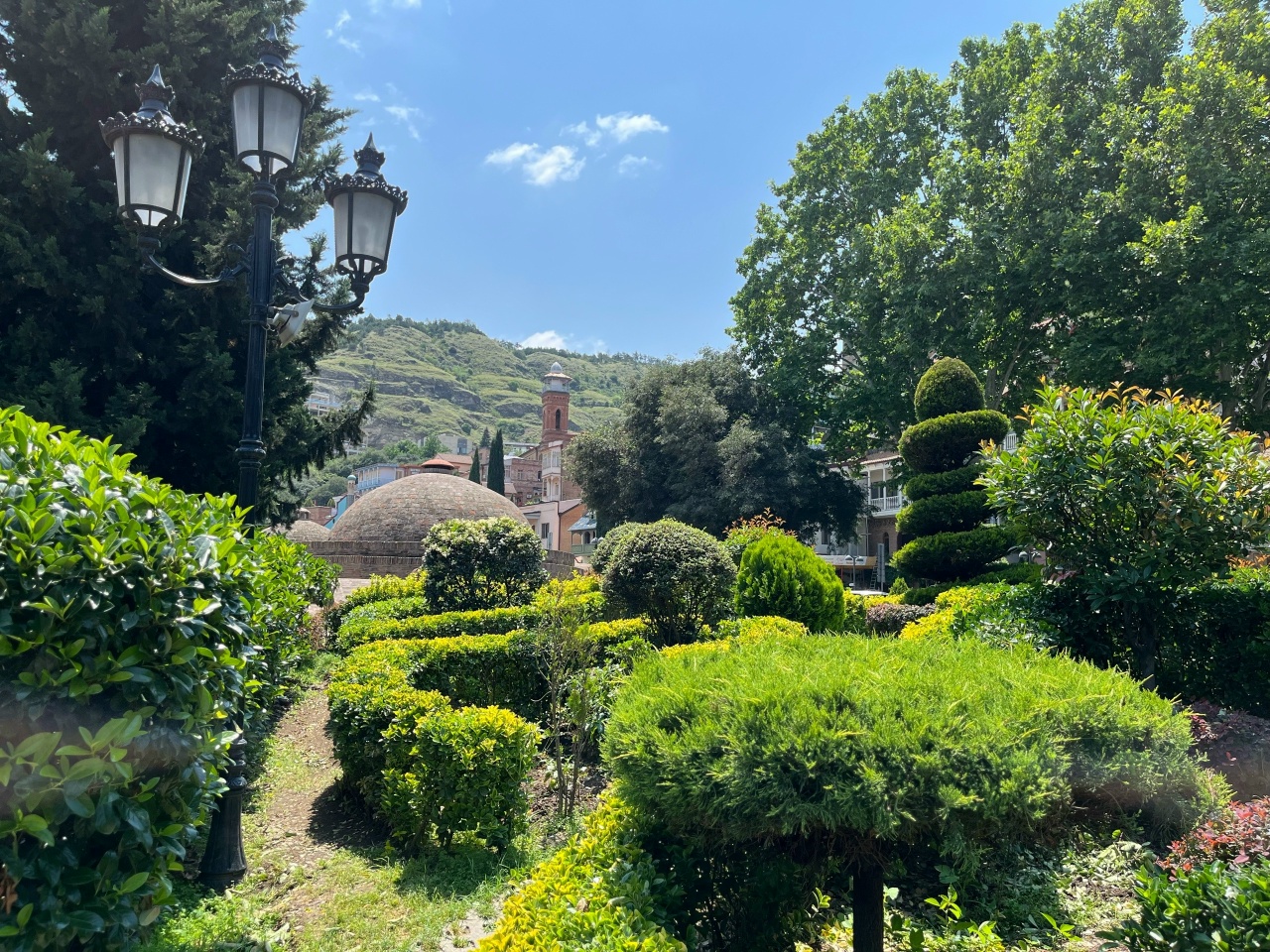 Винные реки Кахетии и город любви Сигнахи! (5/12)