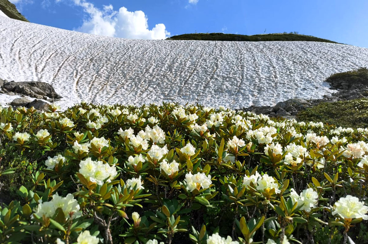 Канатная дорога Архыз, Турье озеро