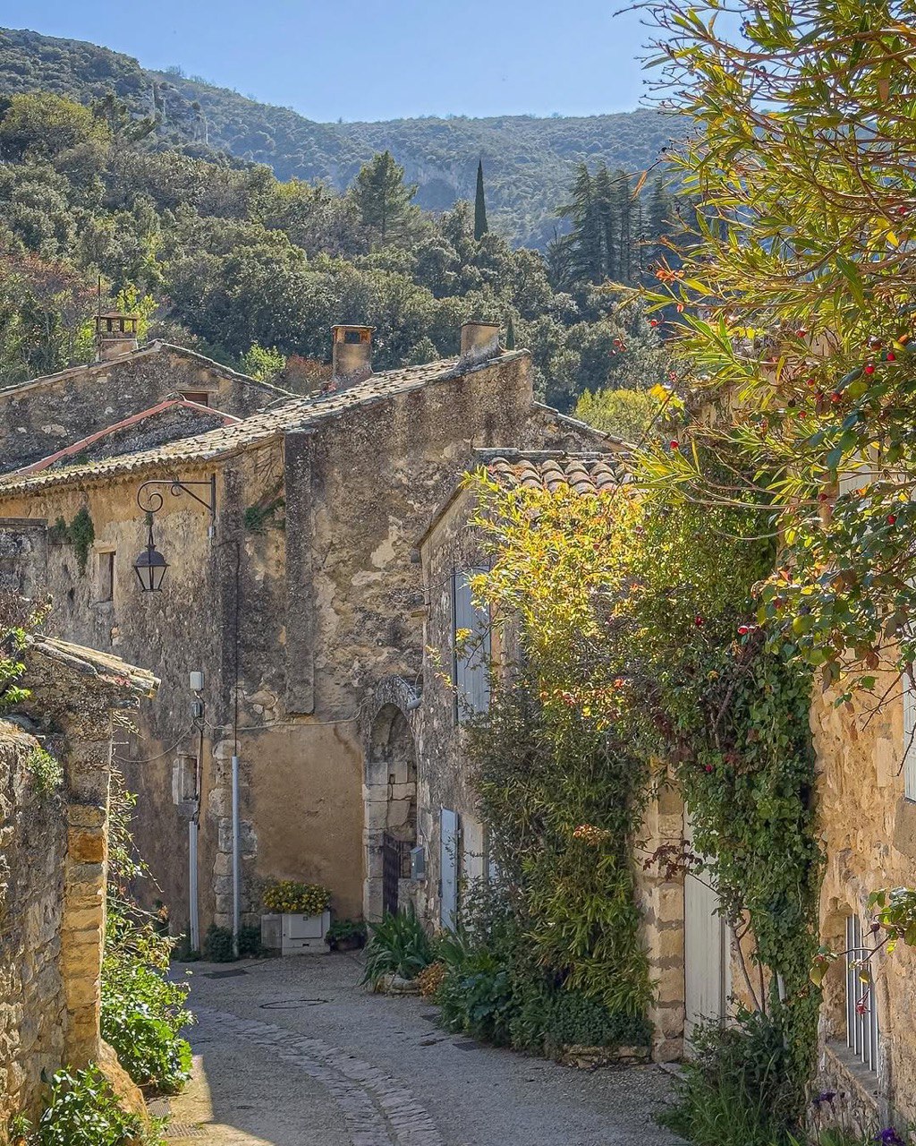 Юг Франции: вино, устрицы и средневековые города. (12/17)