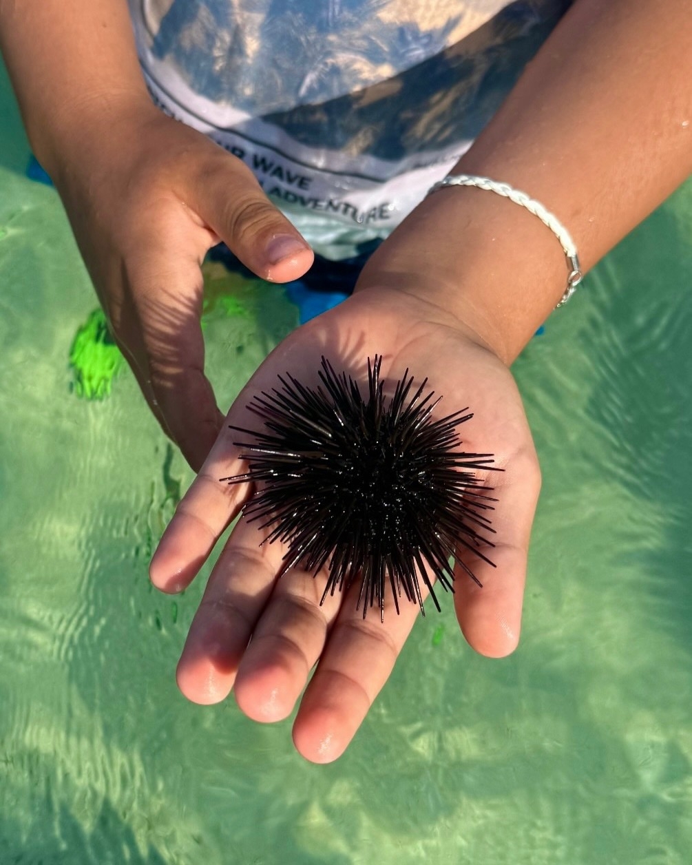 Вместе выгоднее - бюджетный групповой сафари тур для одиночек. (26/29)