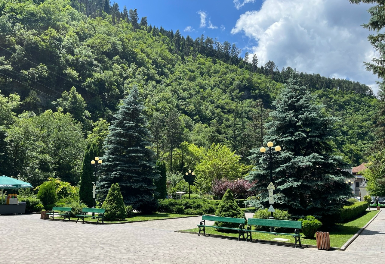 Винные реки Кахетии и город любви Сигнахи! (12/12)